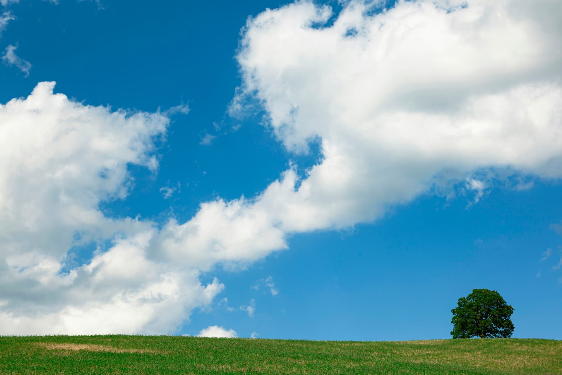 Nube Verde: Cómo la adopción de la nube ayuda a mejorar los objetivos de sostenibilidad/ESG de las empresas