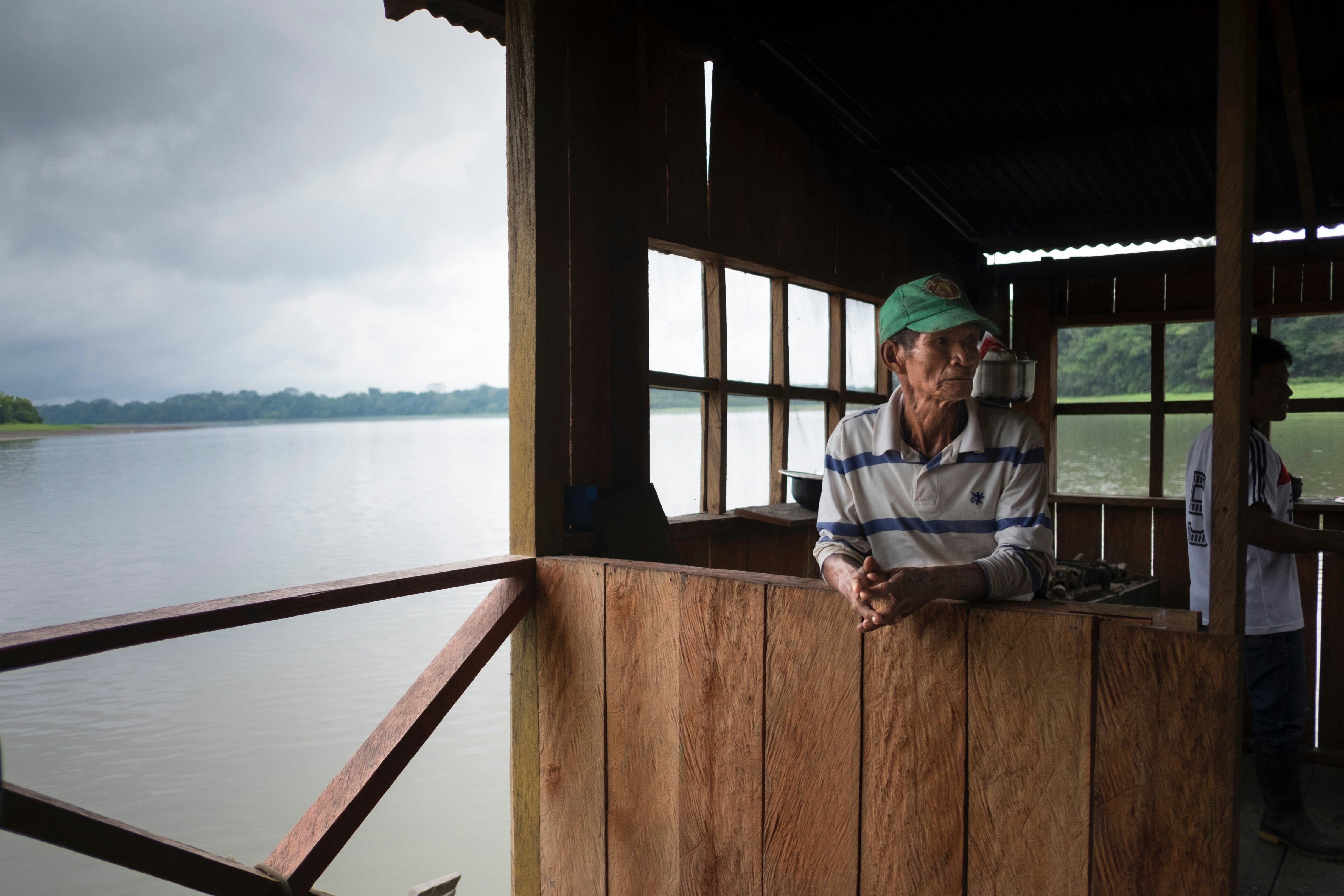Las hormigas reclamaron el Amazonas