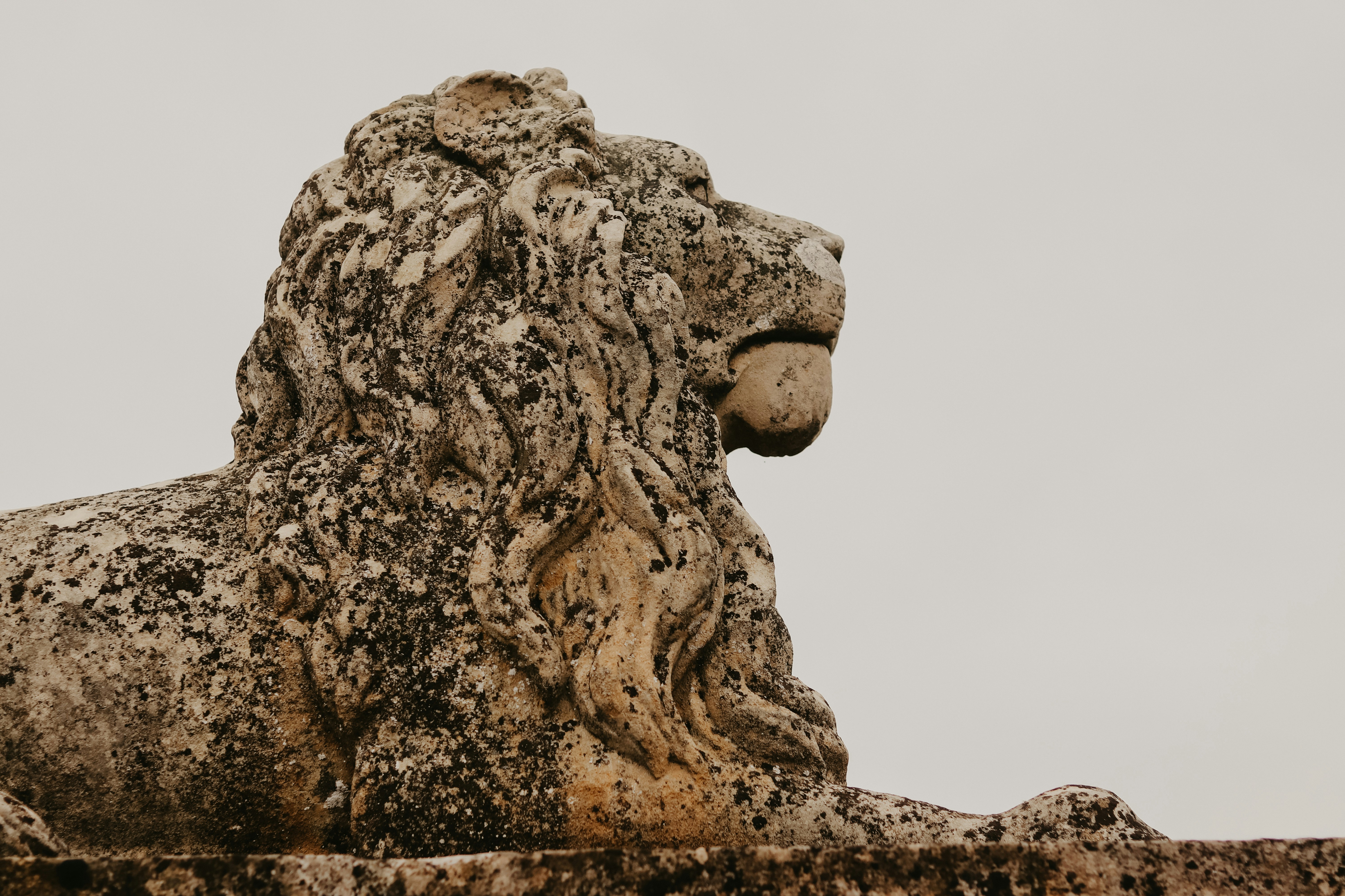 De Thinkific a Momen: Cómo Leon Petrou reconstruyó su comunidad de IA y automatización