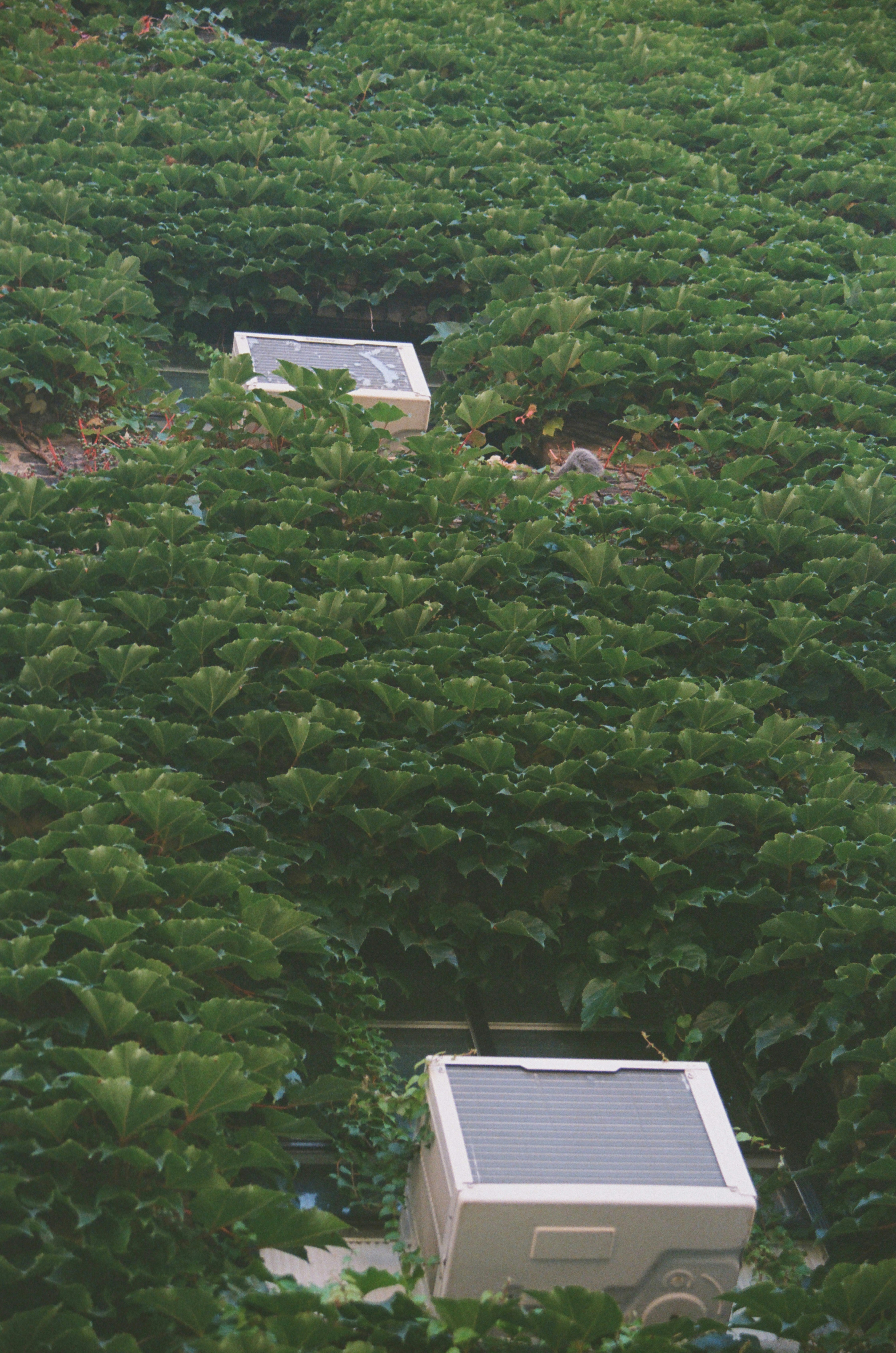 moverse de las hojas de cálculo a la automatización en Valladolid