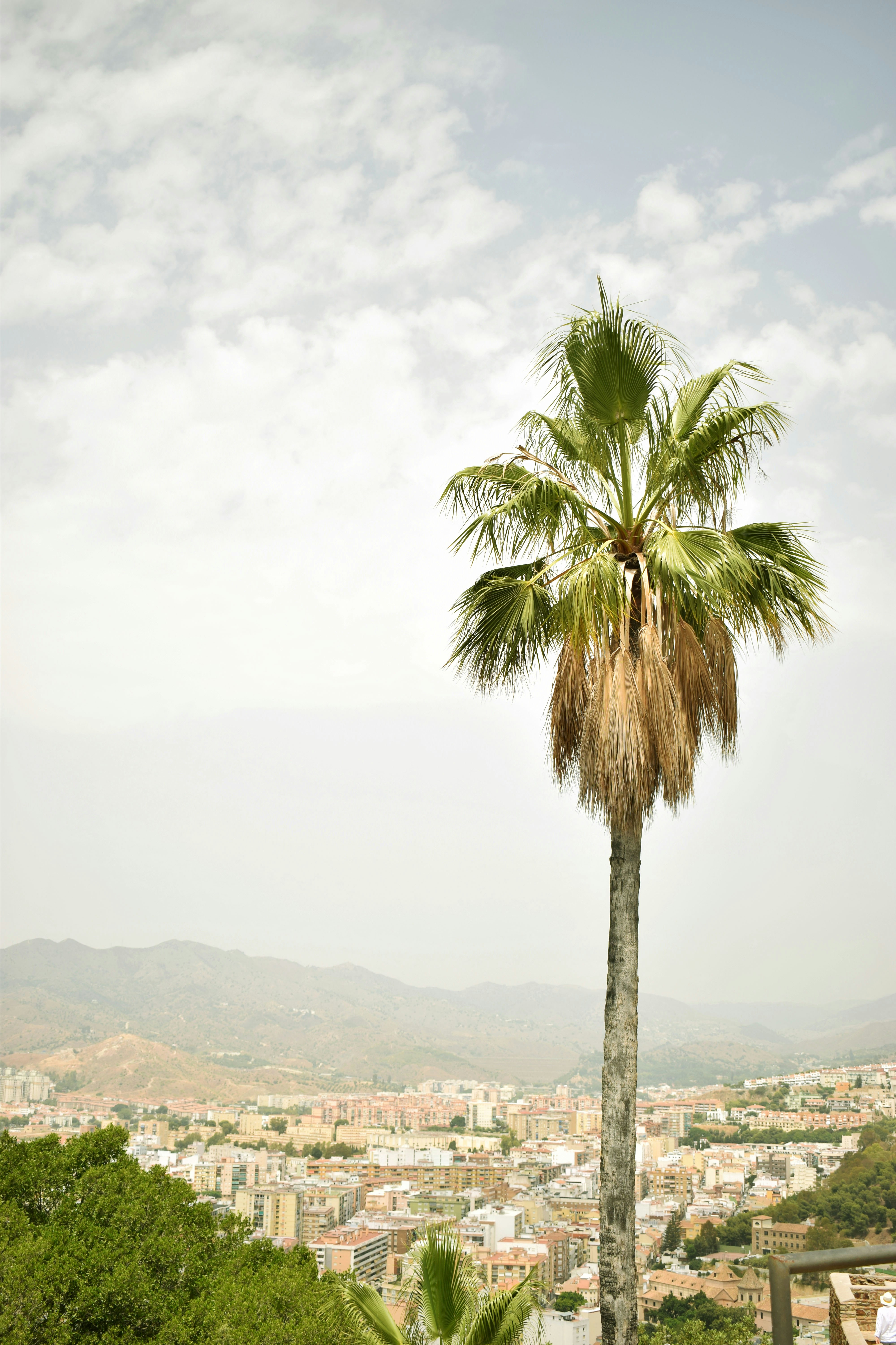 Mejor movimiento de hojas de cálculo a automatización en Málaga 2026