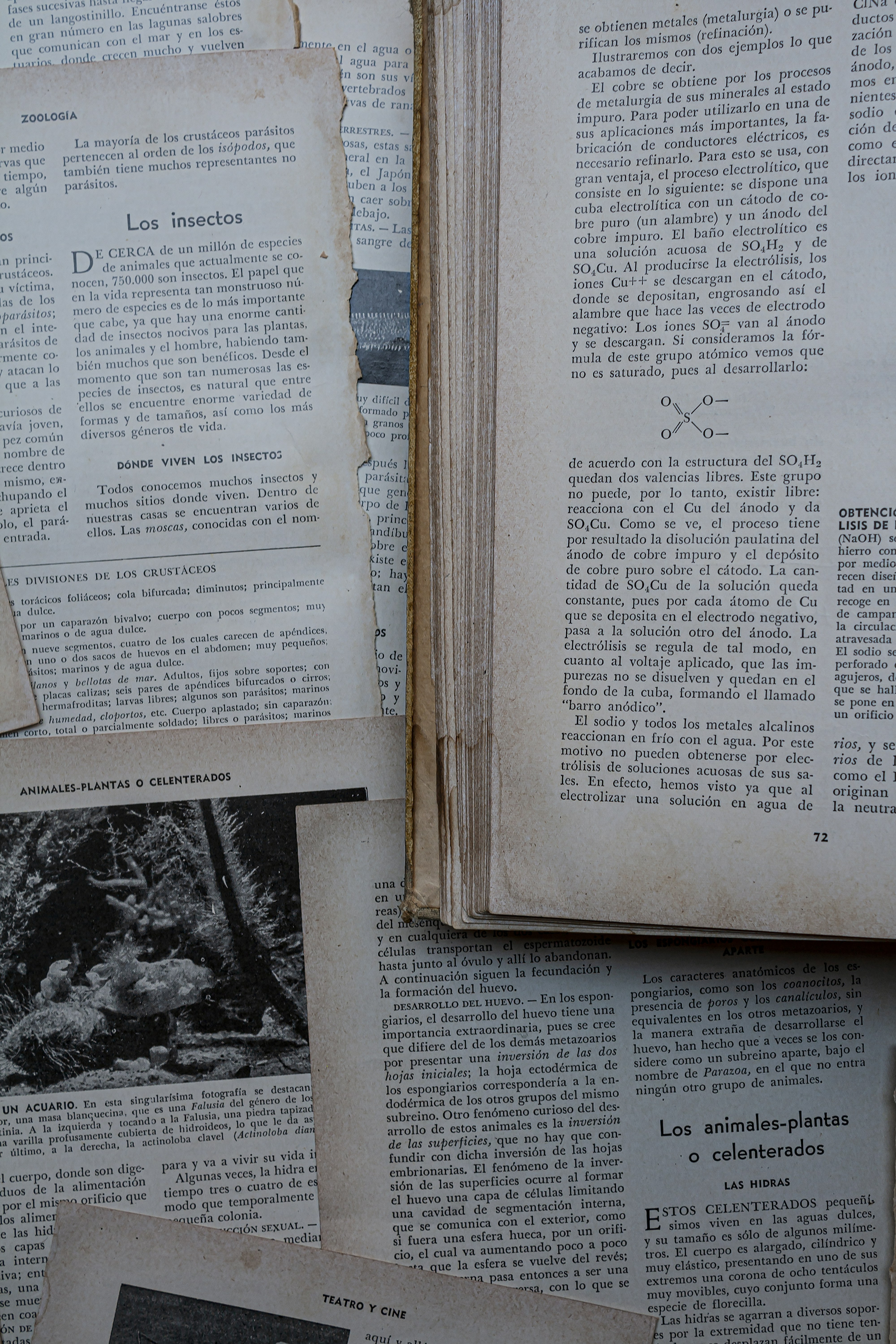 Monstruos en los Archivos se sumerge en las primeras obras de Stephen King