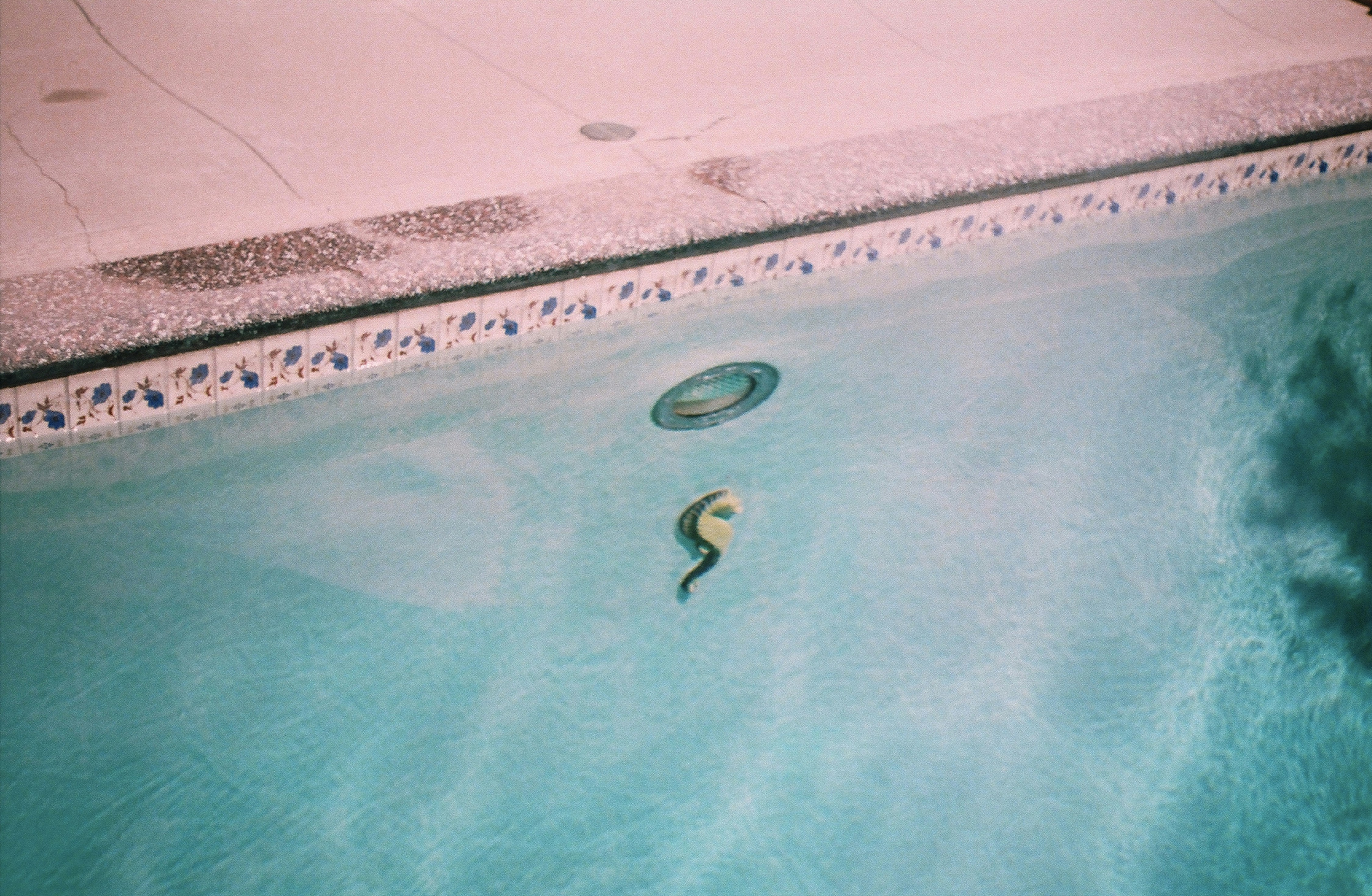 La vida secreta de Python: El pool de cadenas internas - Cuando dos cadenas son un objeto único