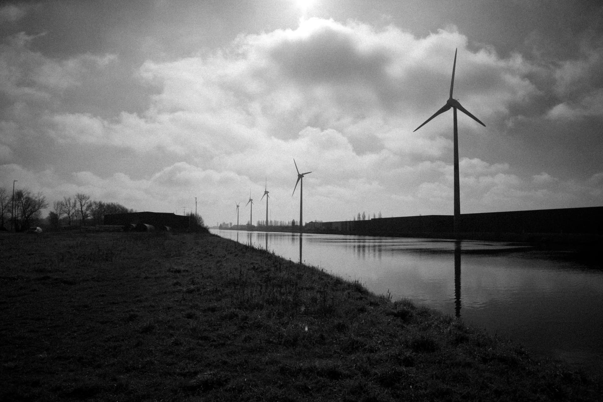 Cuantificación del riesgo moral en la inversión en energía renovable a través de la calibración de una red bayesiana dinámica