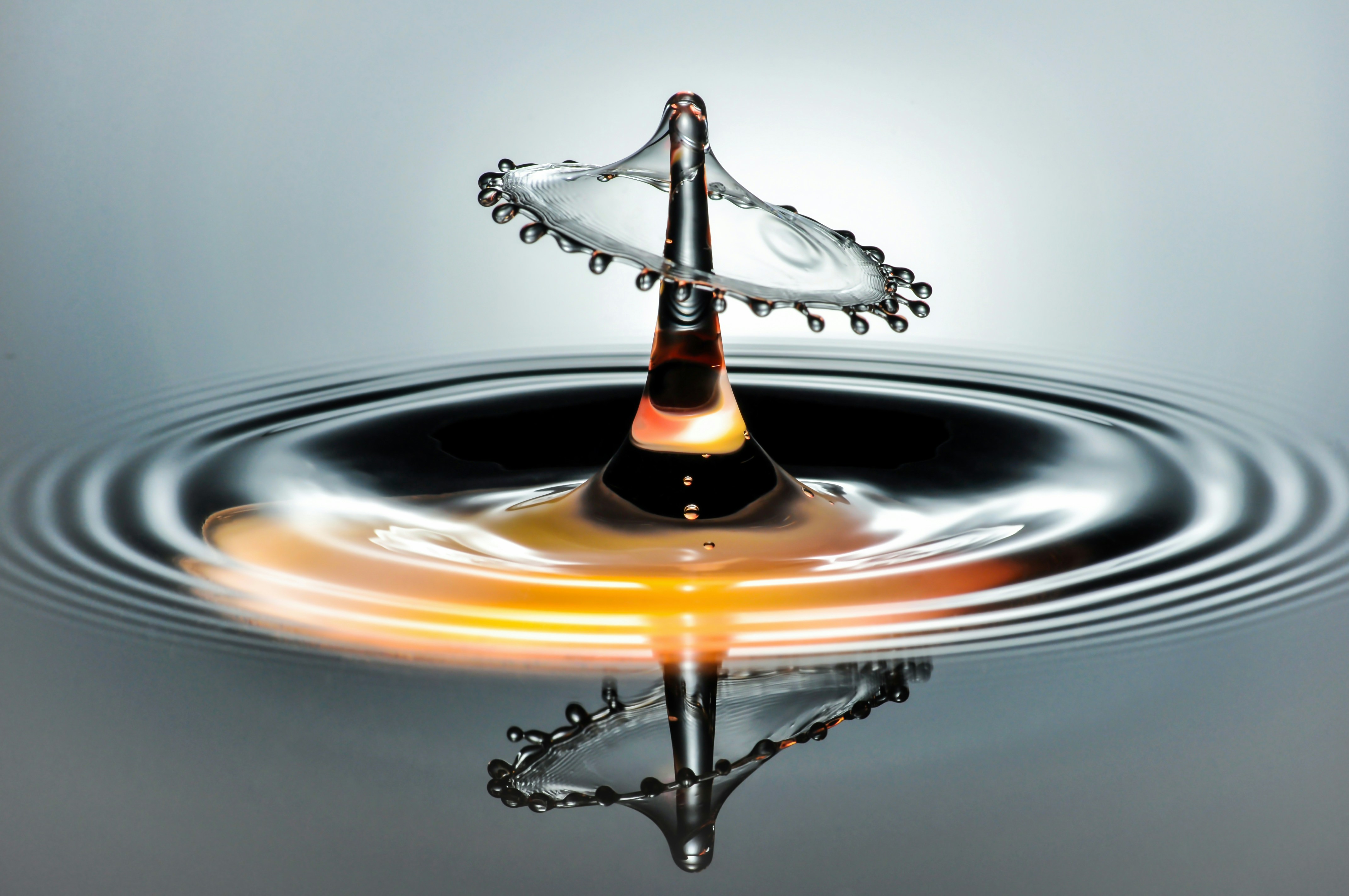 ¿Cómo afecta el software de gestión empresarial de fontanería a la colaboración en equipo?