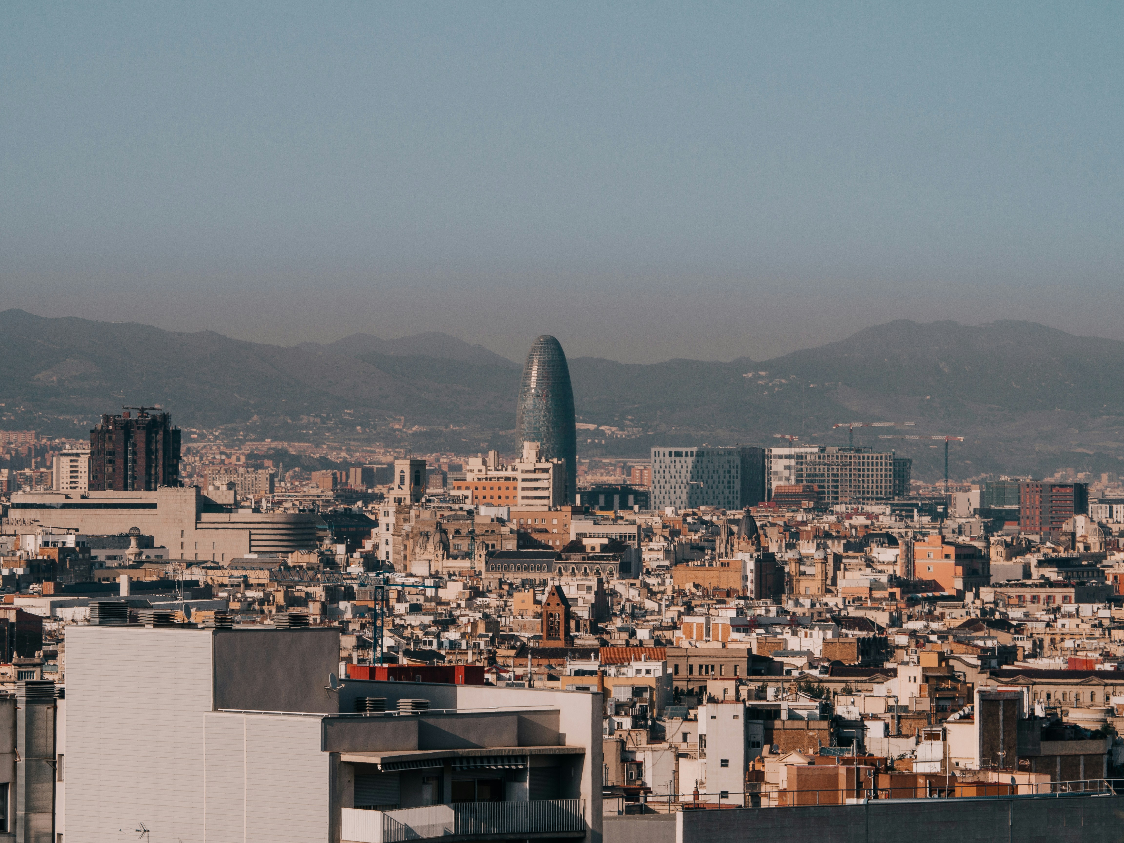 Un estudio de caso sobre cómo las startups en Barcelona prosperan con software personalizado