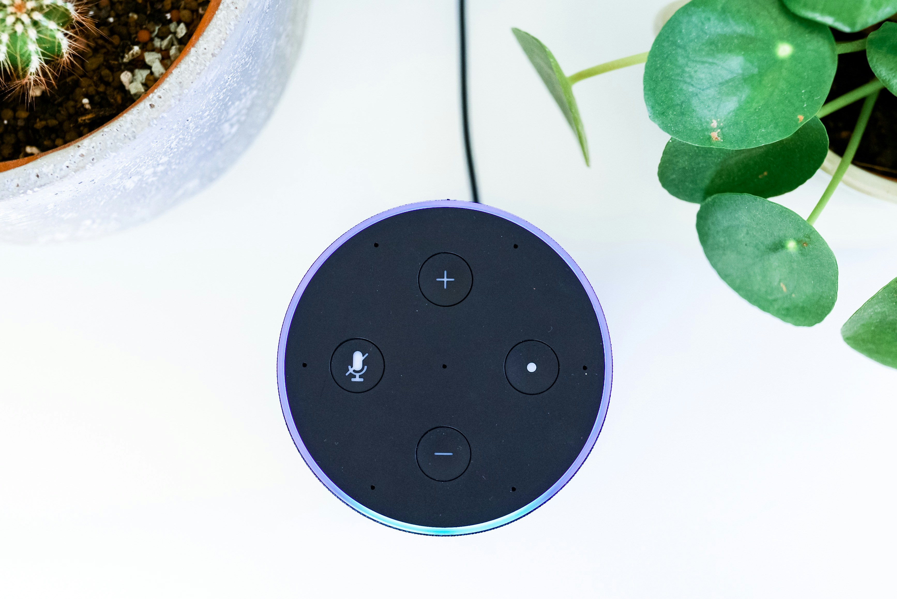 ¿Cómo apoya un asistente de voz personalizado para empresas la sostenibilidad y la eficiencia?