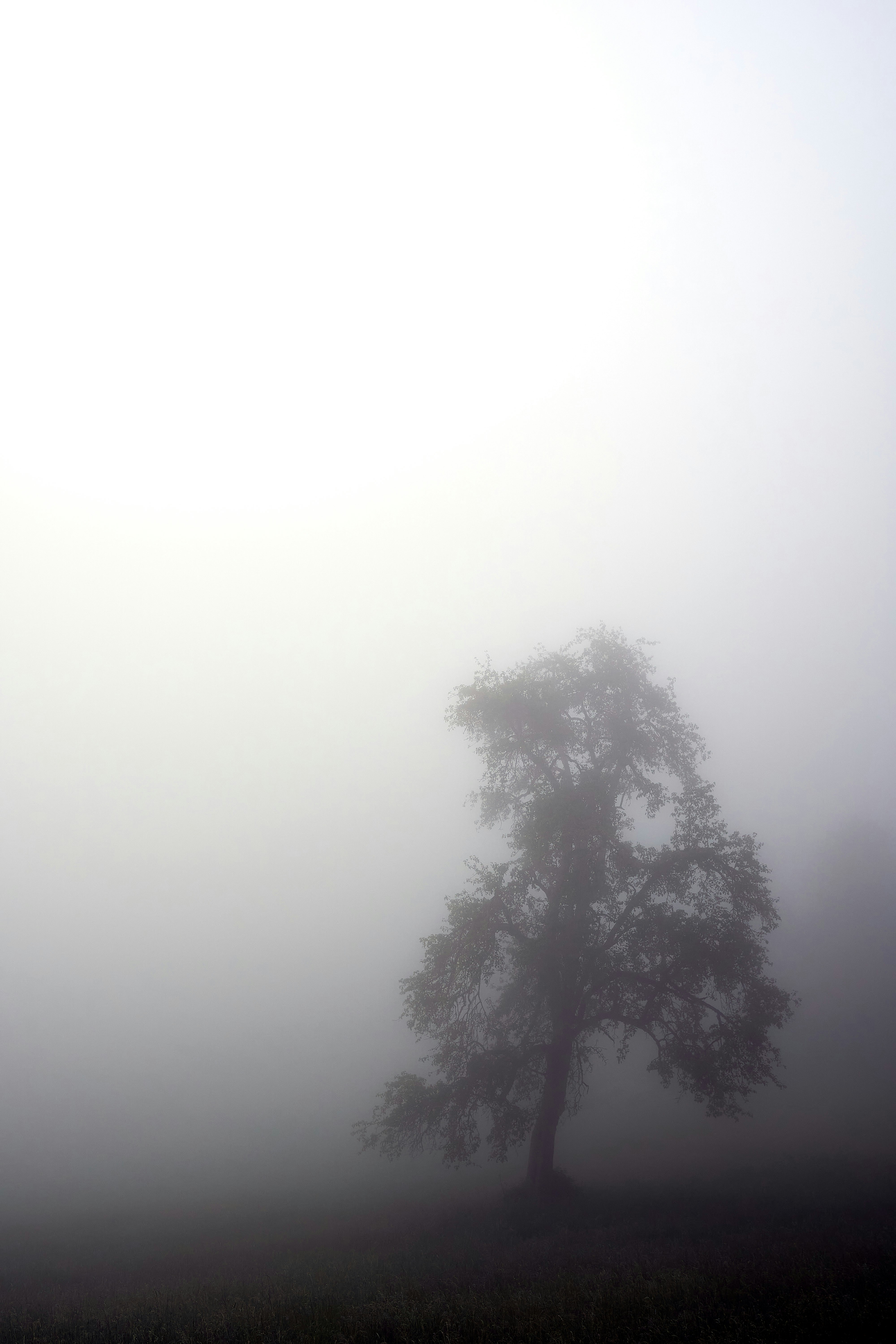Cómo mi momento de 'niebla cerebral' en vivo desencadenó un gran debate