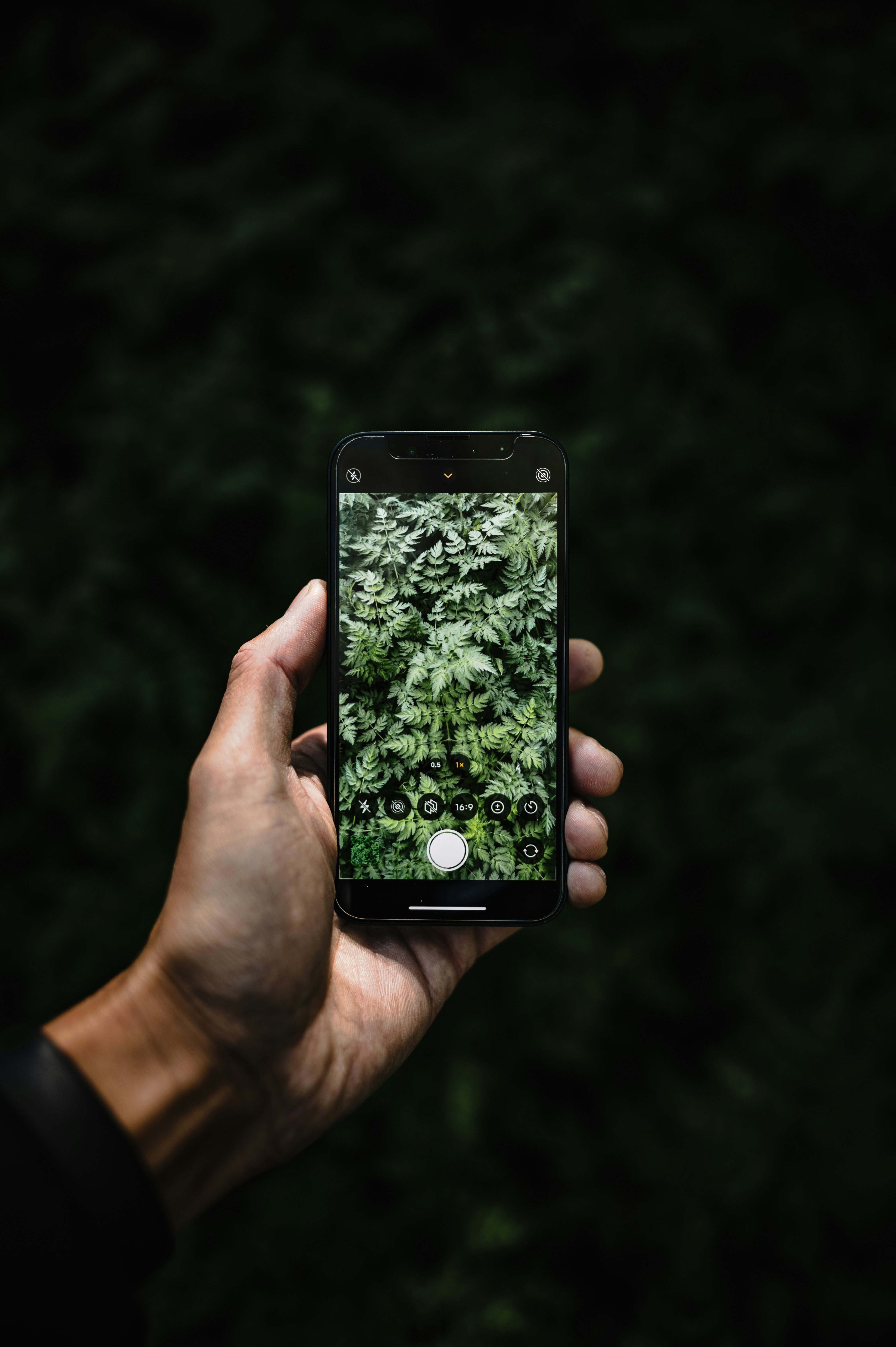 ¿Cómo contribuye la aplicación móvil a las prácticas comerciales sostenibles?