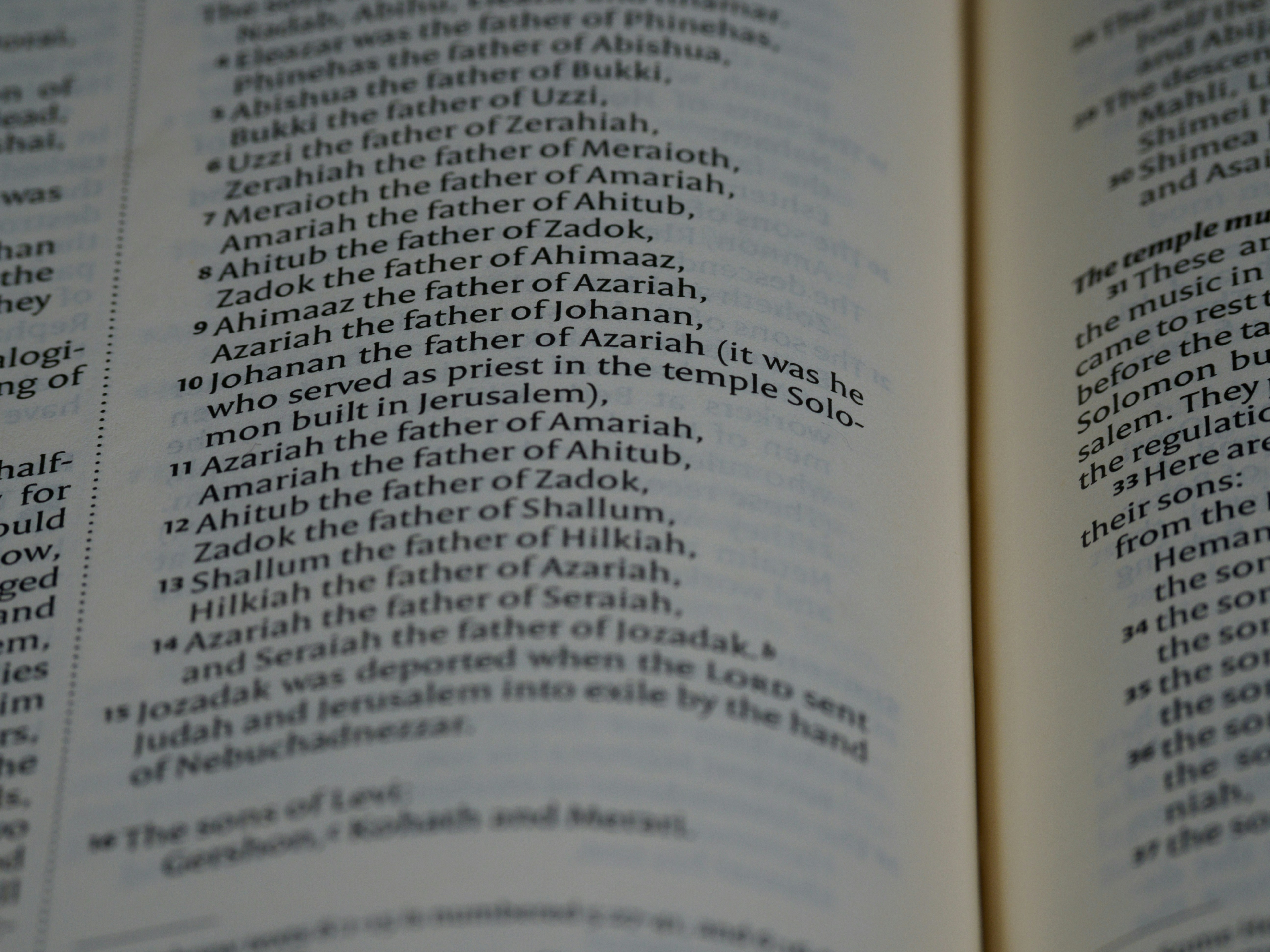 Educando al algoritmo: Cómo WordLift y Kalicube dominan dos mundos con una estrategia