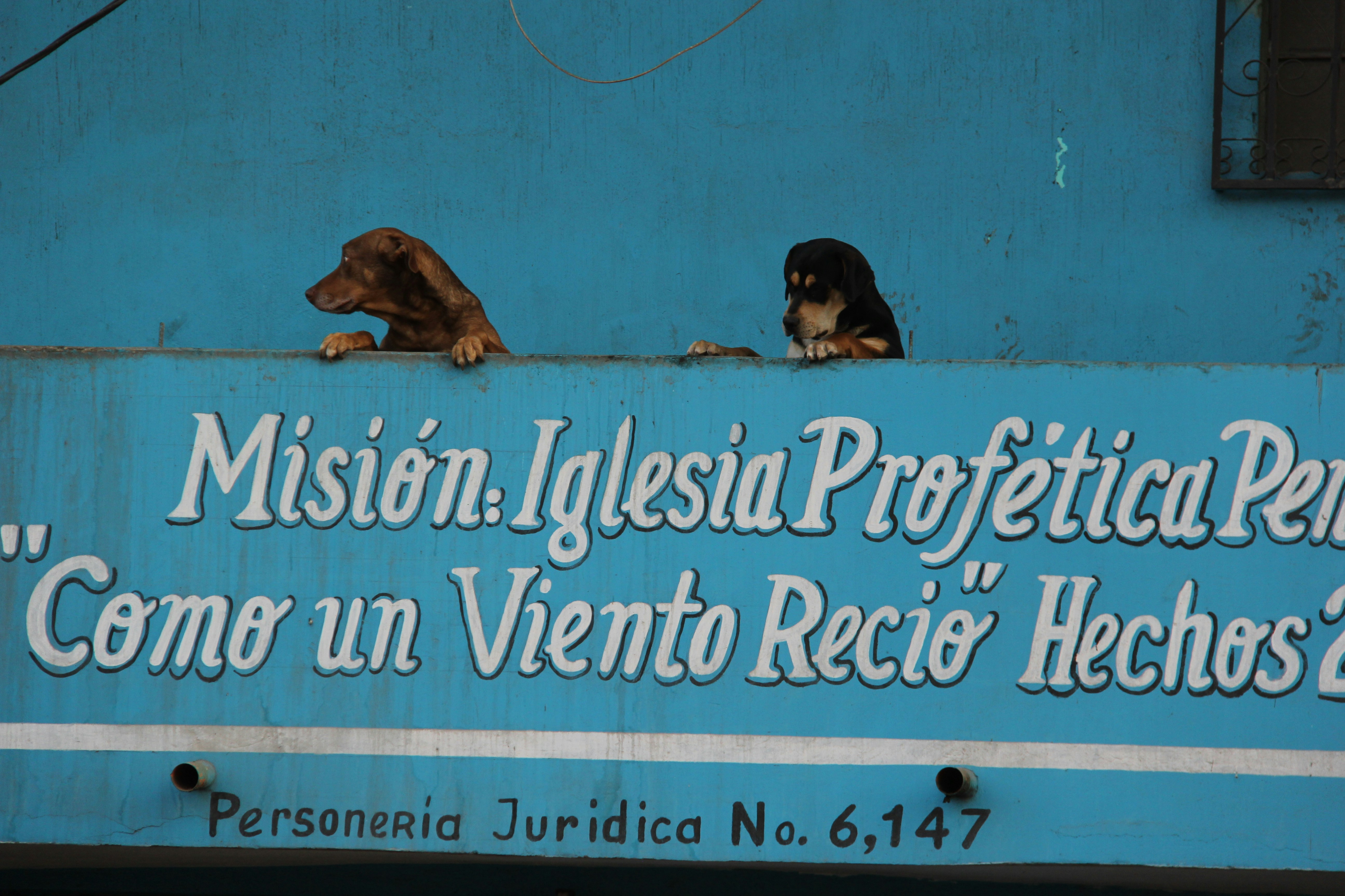 ¿Cuándo es el mejor momento para adoptar migrar base de datos de Access a una aplicación web?