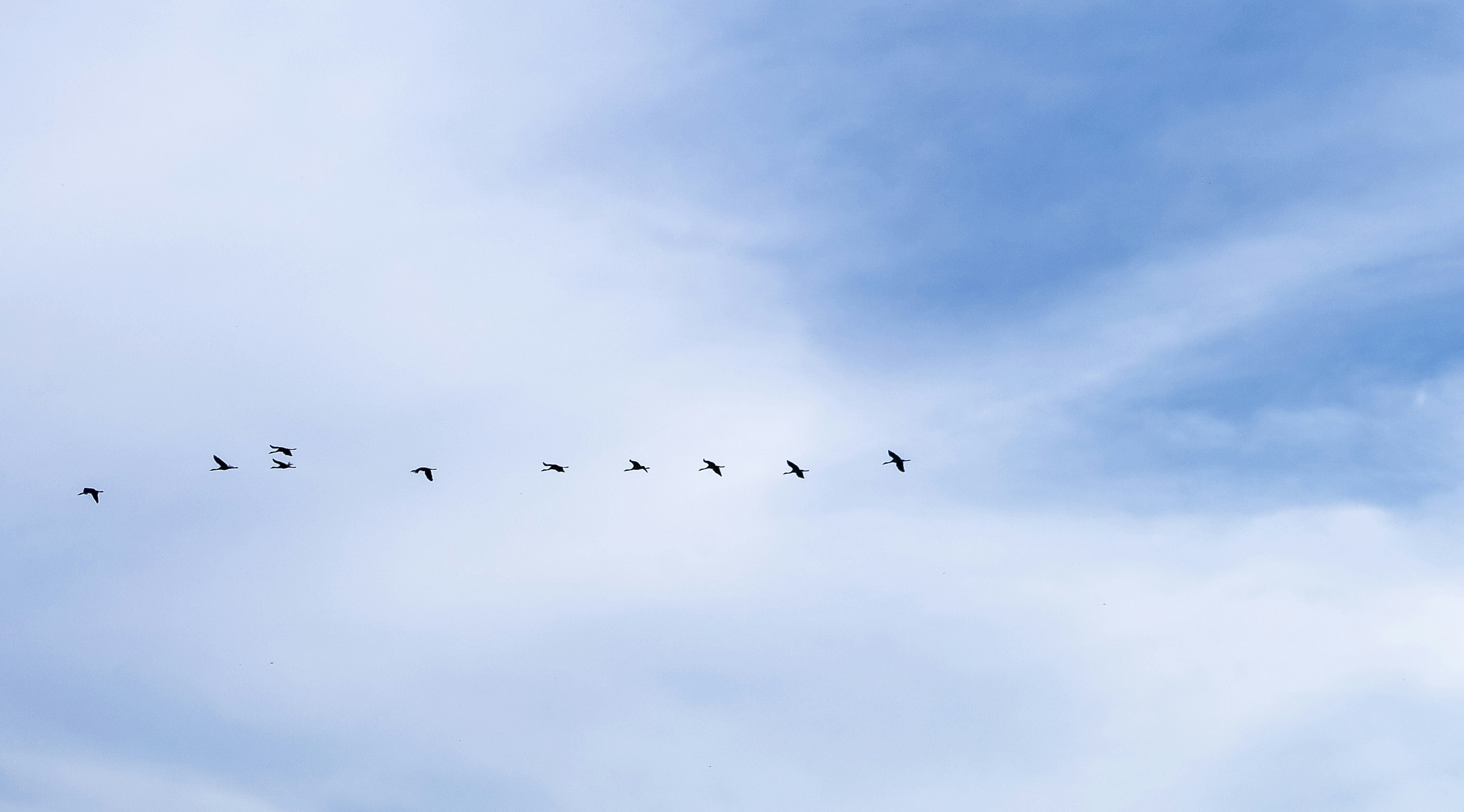 Ingeniería de IA: Advenimiento de la IA con Goose Day 7