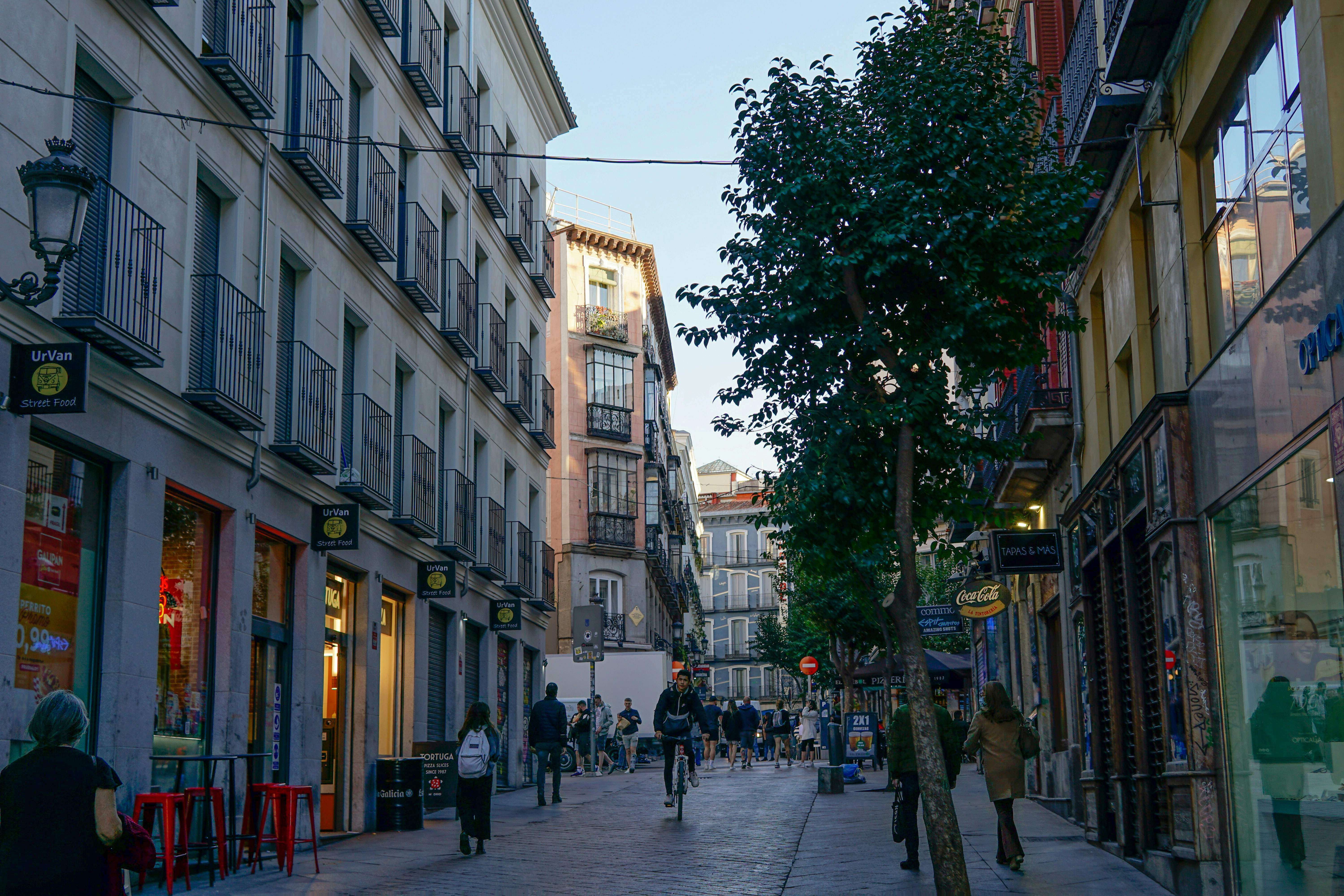 Empresa de servicios de desarrollo de avatares de IA en Madrid