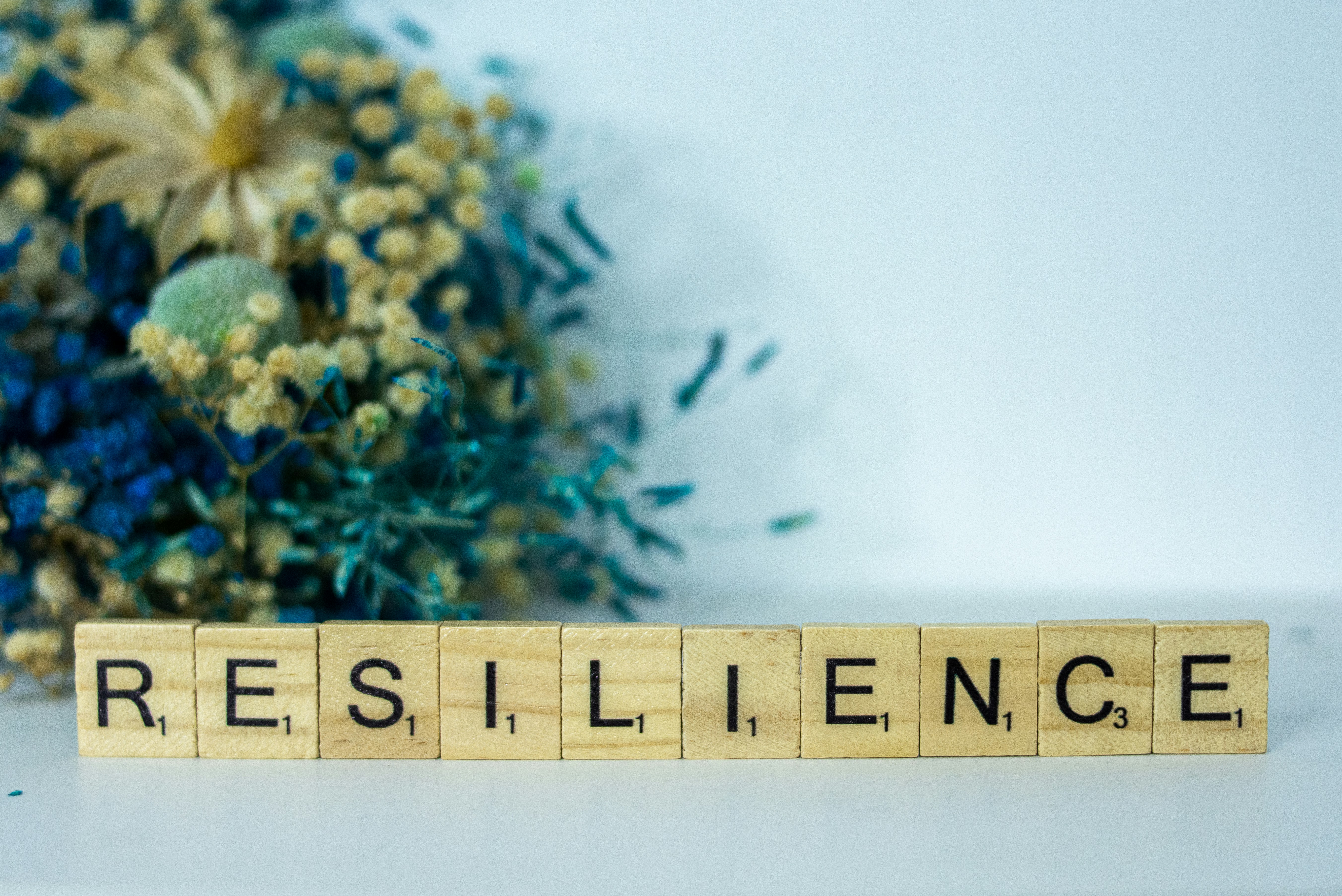Un Marco de Resiliencia para la Optimización Combinatoria de Bi-Criterio con Retroalimentación de Bandido