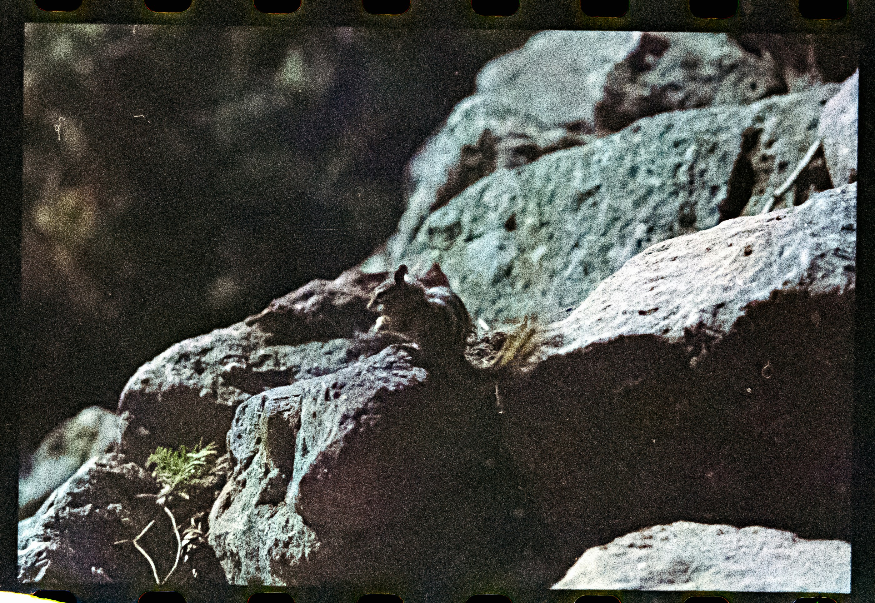 Postal desde un Bitflinger