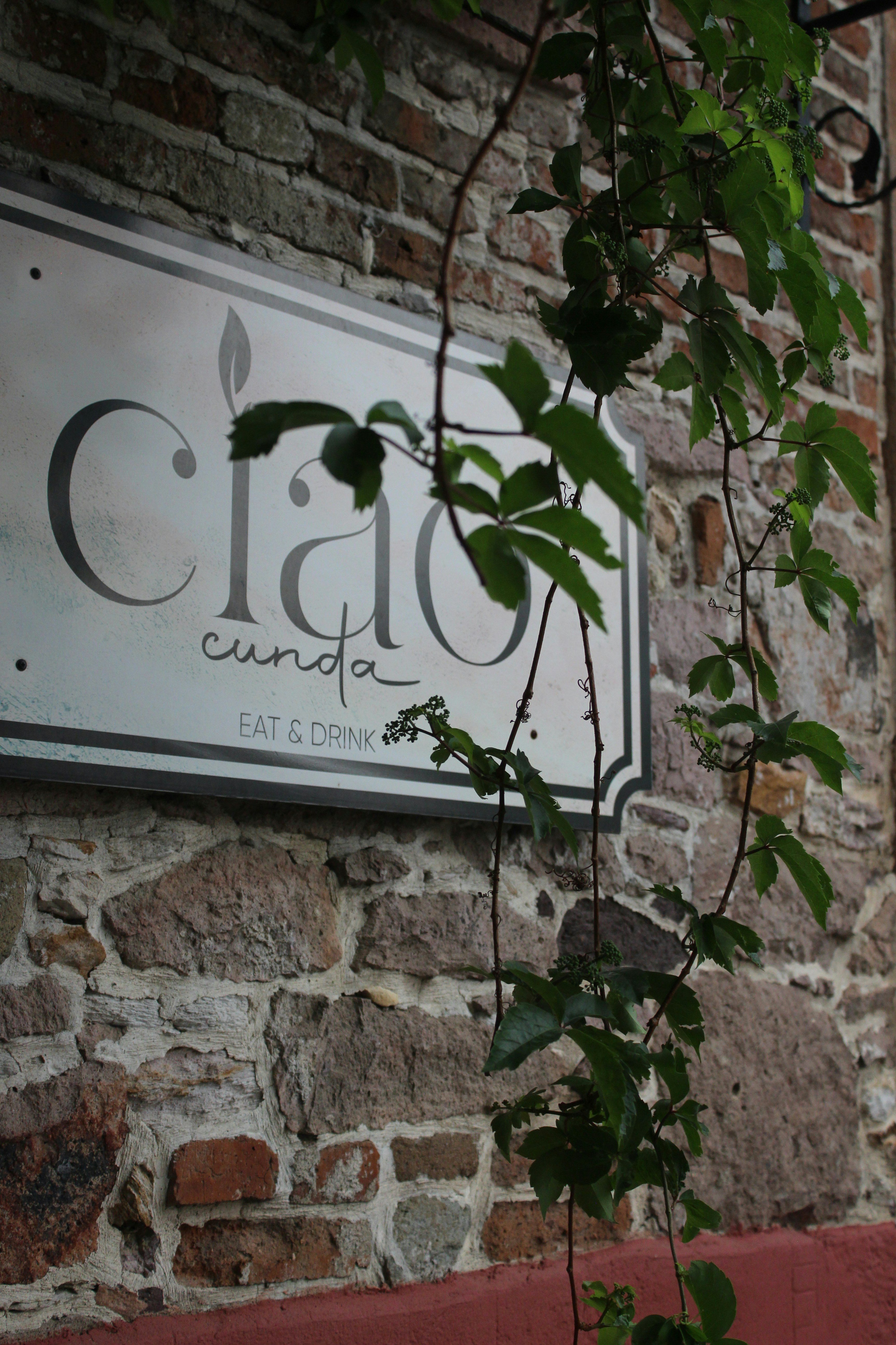 ¿Cuánto cuesta Claude Opus 4.5 y vale la pena?