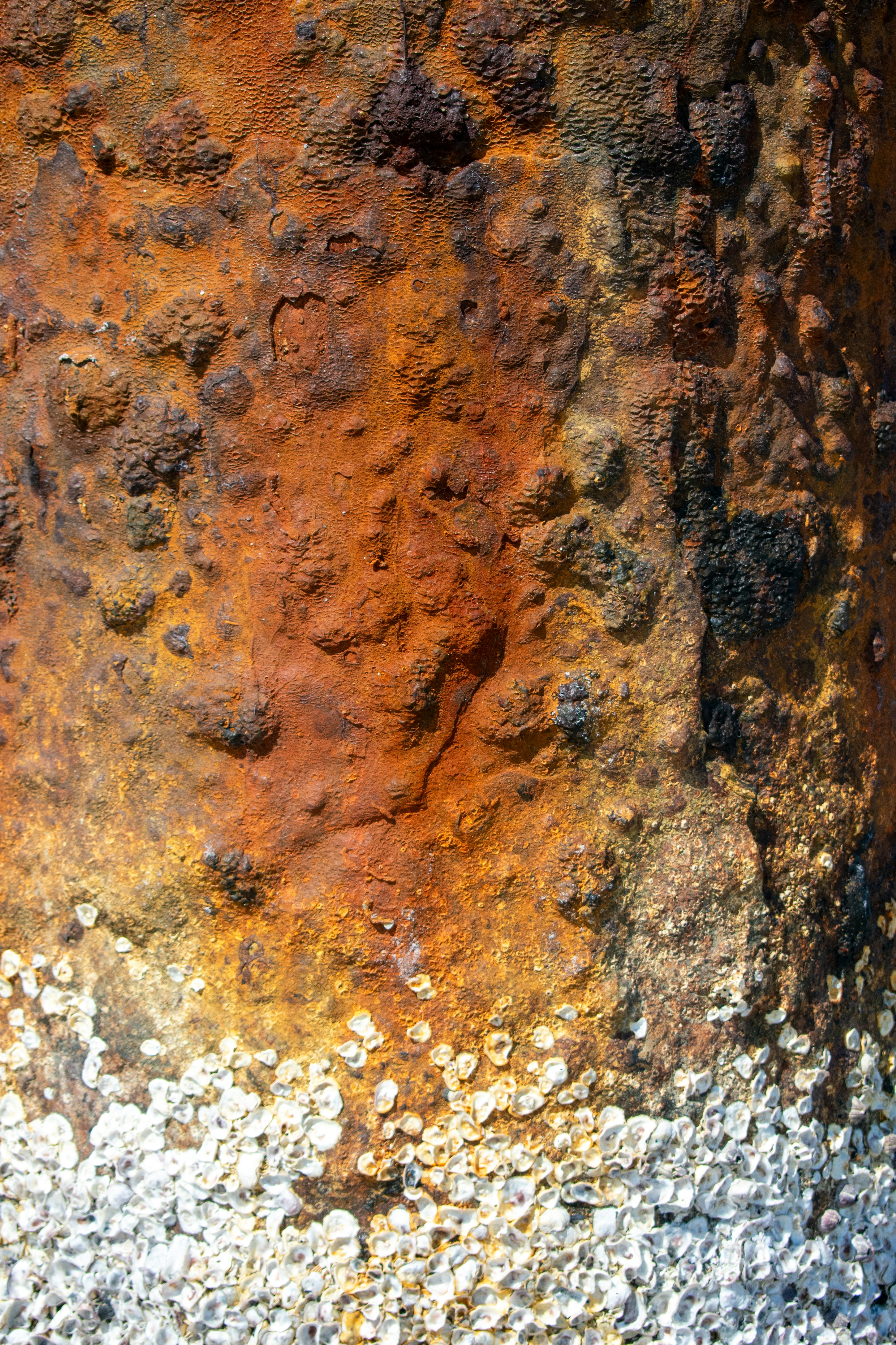 Crónicas del óxido #1 - el principio