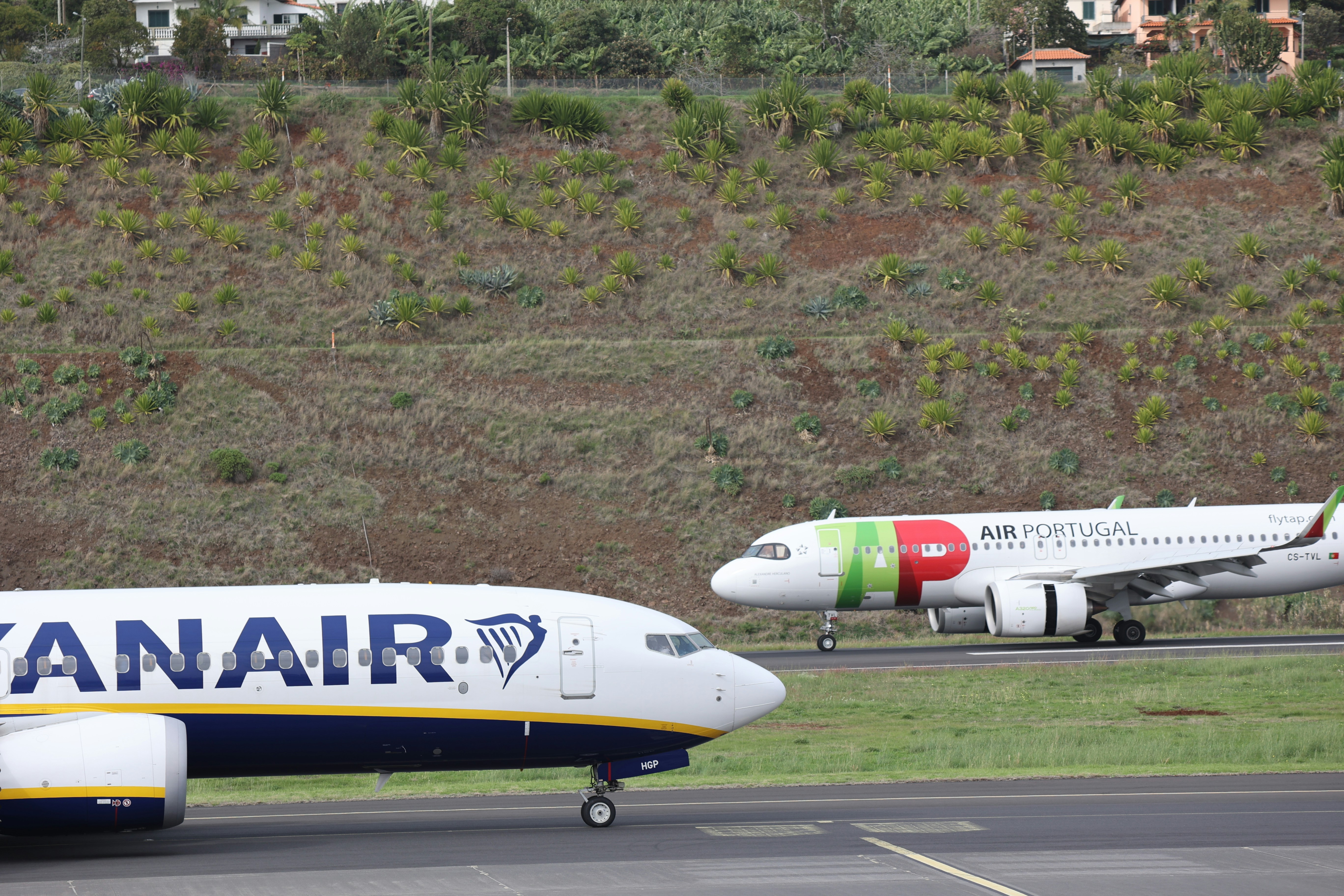 Top 30 Expertos en agencia de desarrollo de Copilot en Santa Cruz de Tenerife
