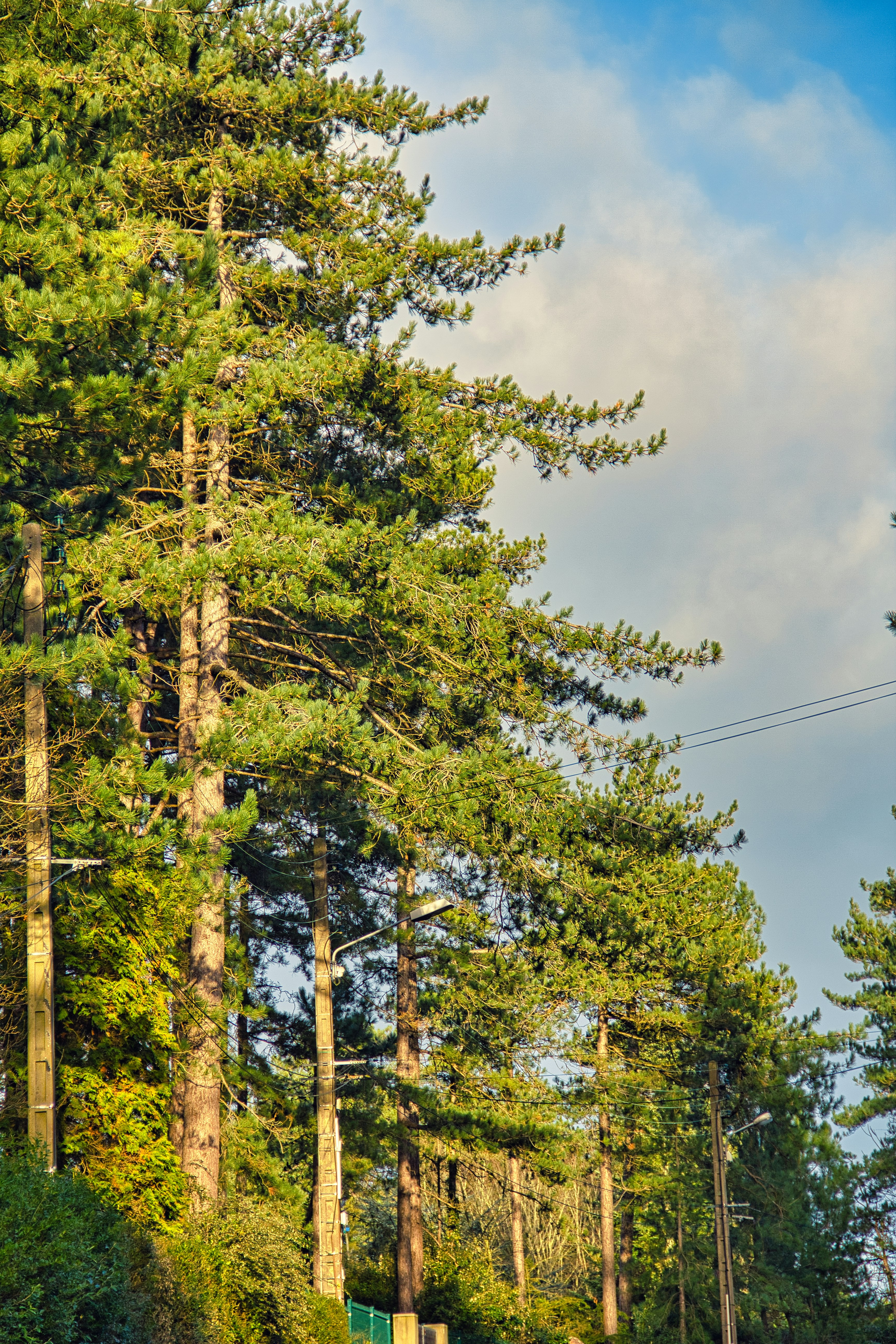 Mejores 10 empresas para Power BI en Alberite