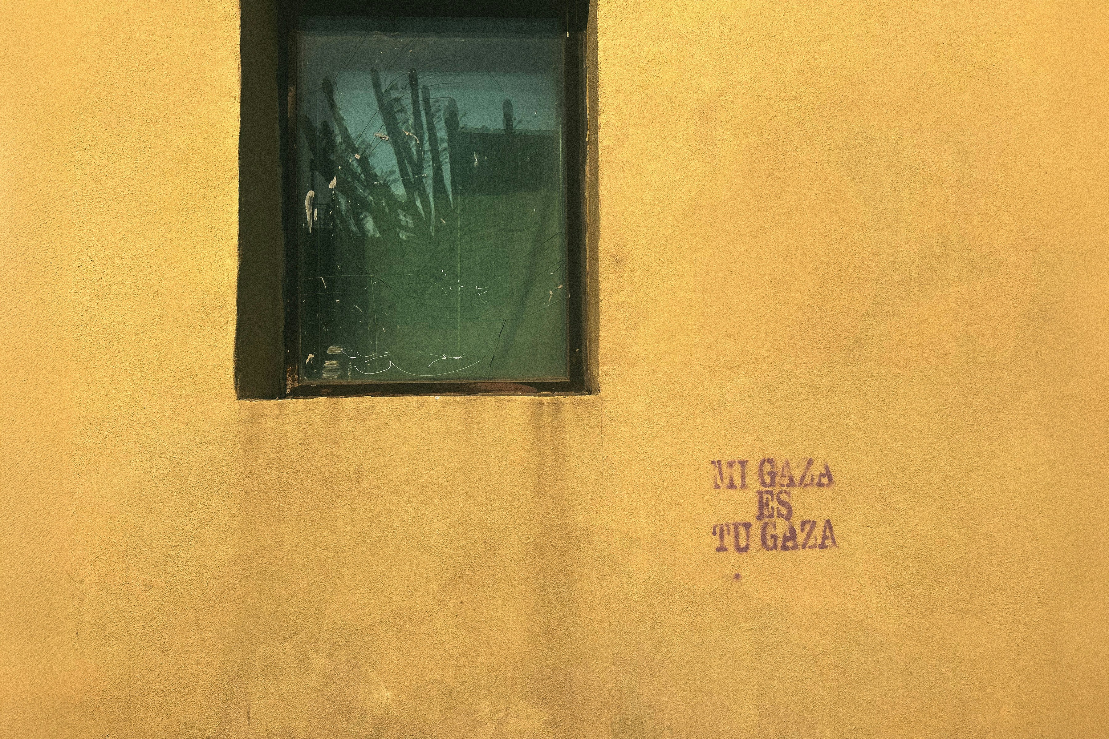 La ventana de 12 meses