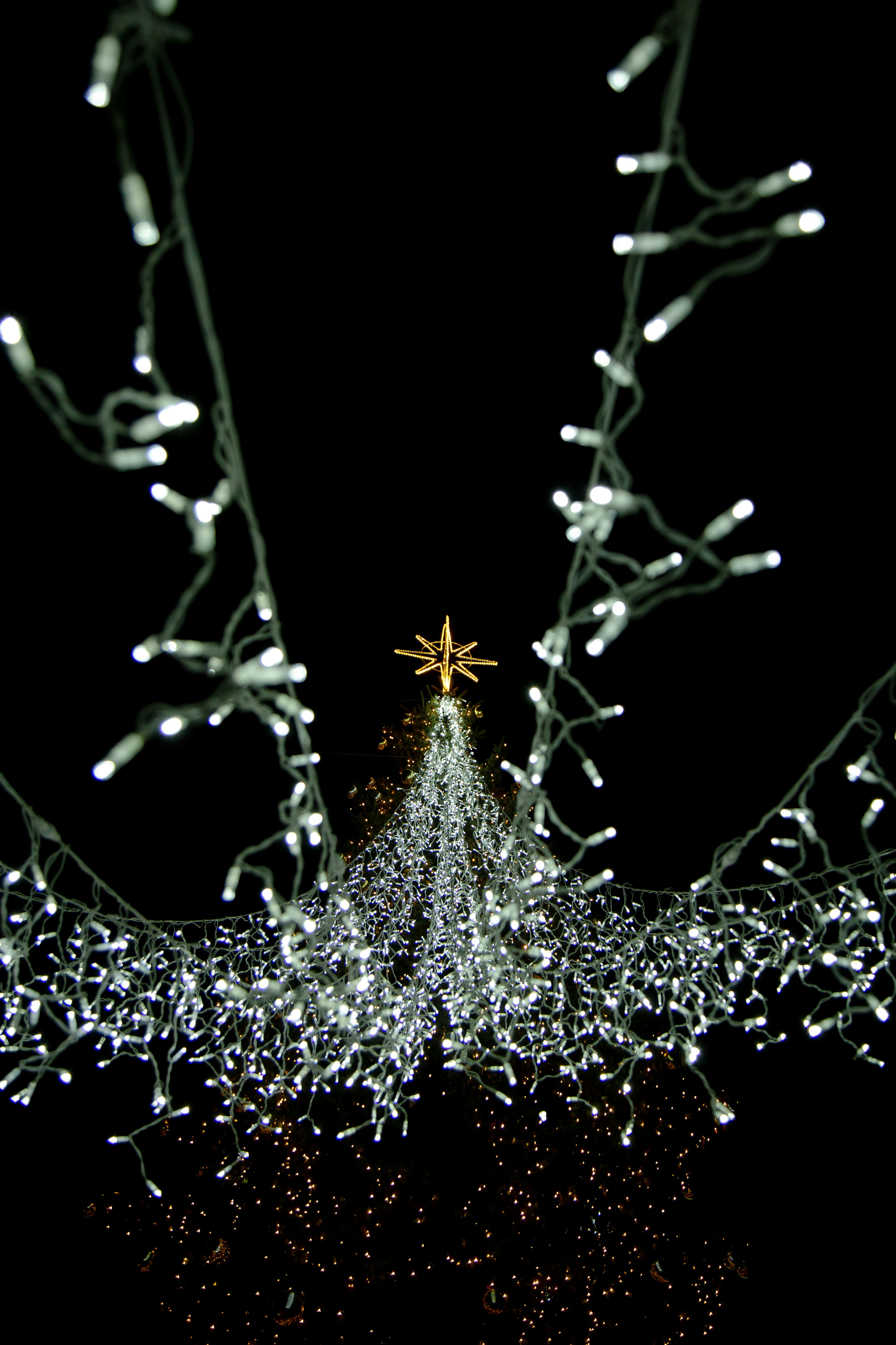 Una colaboración mágica de Navidad está llegando en Zootopia BubuVerse