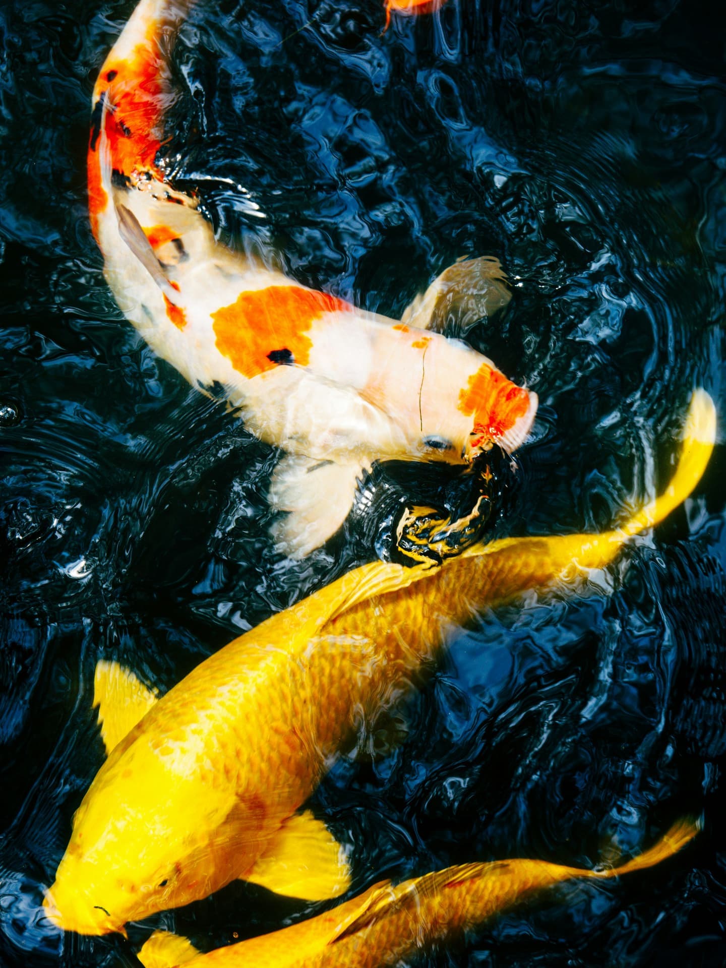 ¿Qué son los agentes profundos? Agentes superficiales vs Agentes profundos