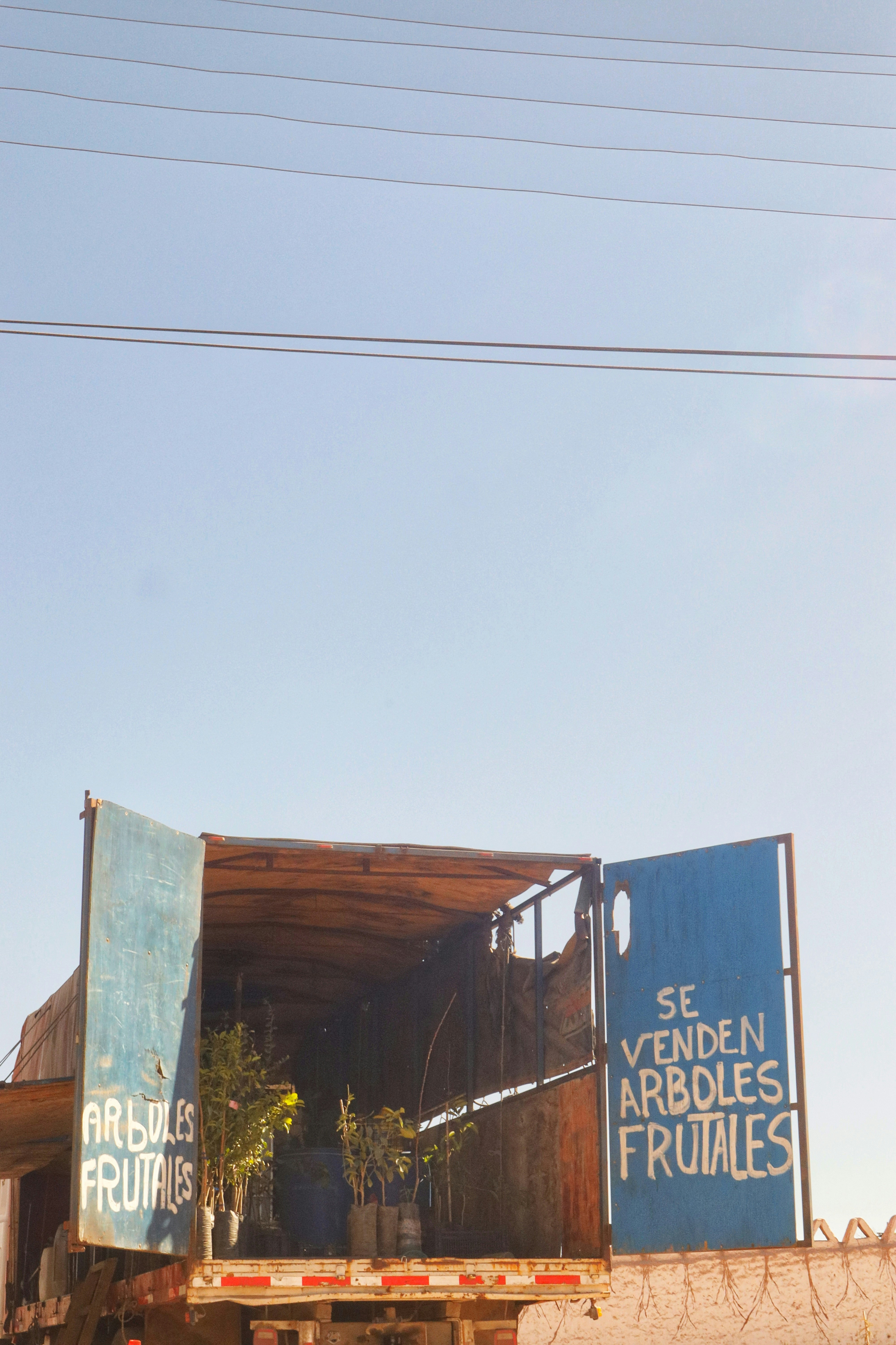 Bandidos logísticos con arrepentimiento $\tilde{O}(\sqrt{dT})$ sin suposiciones de diversidad de contexto