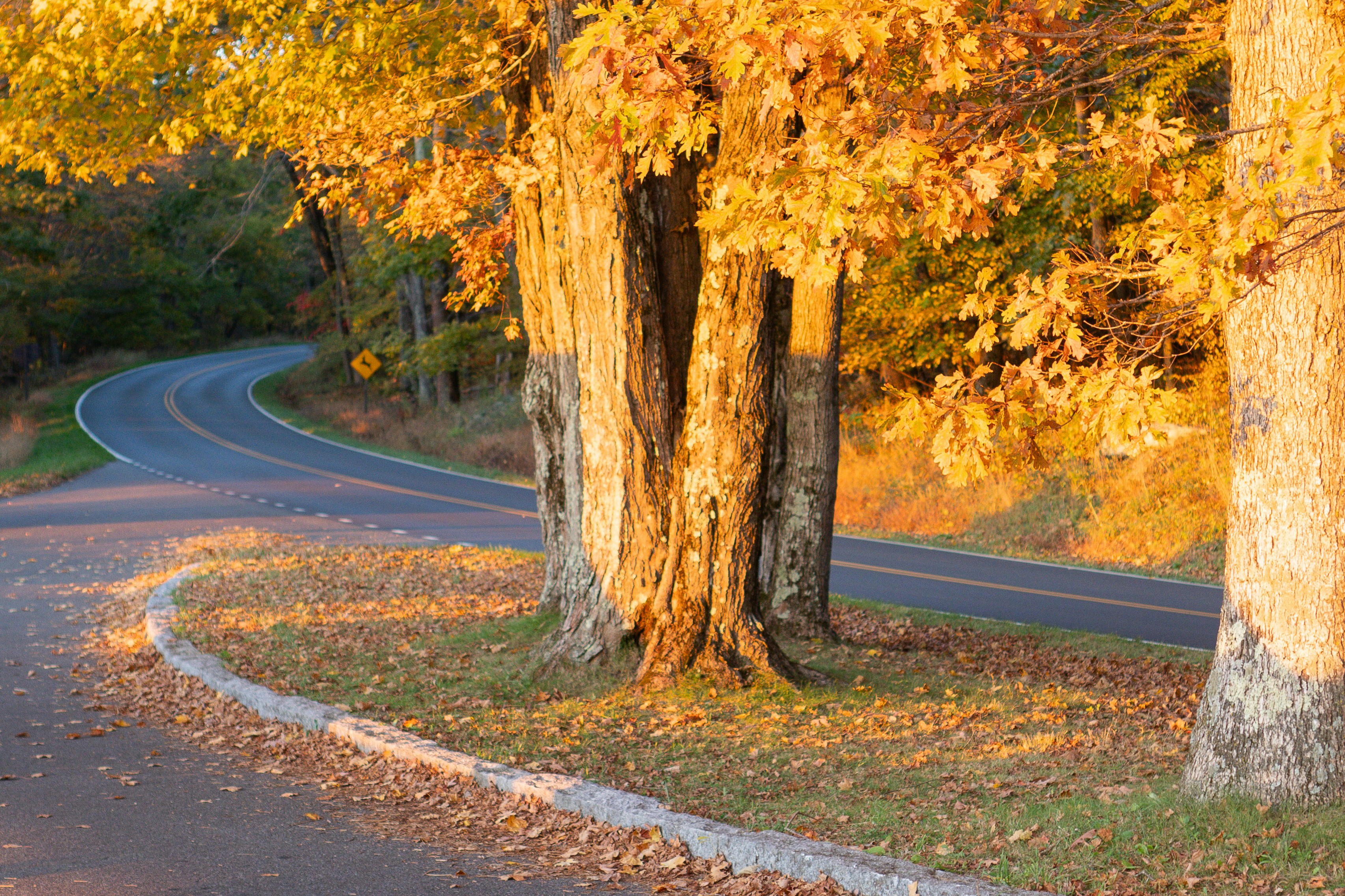 ¿Qué papel desempeña la consultoría de hojas de ruta de transformación digital en una economía circular?