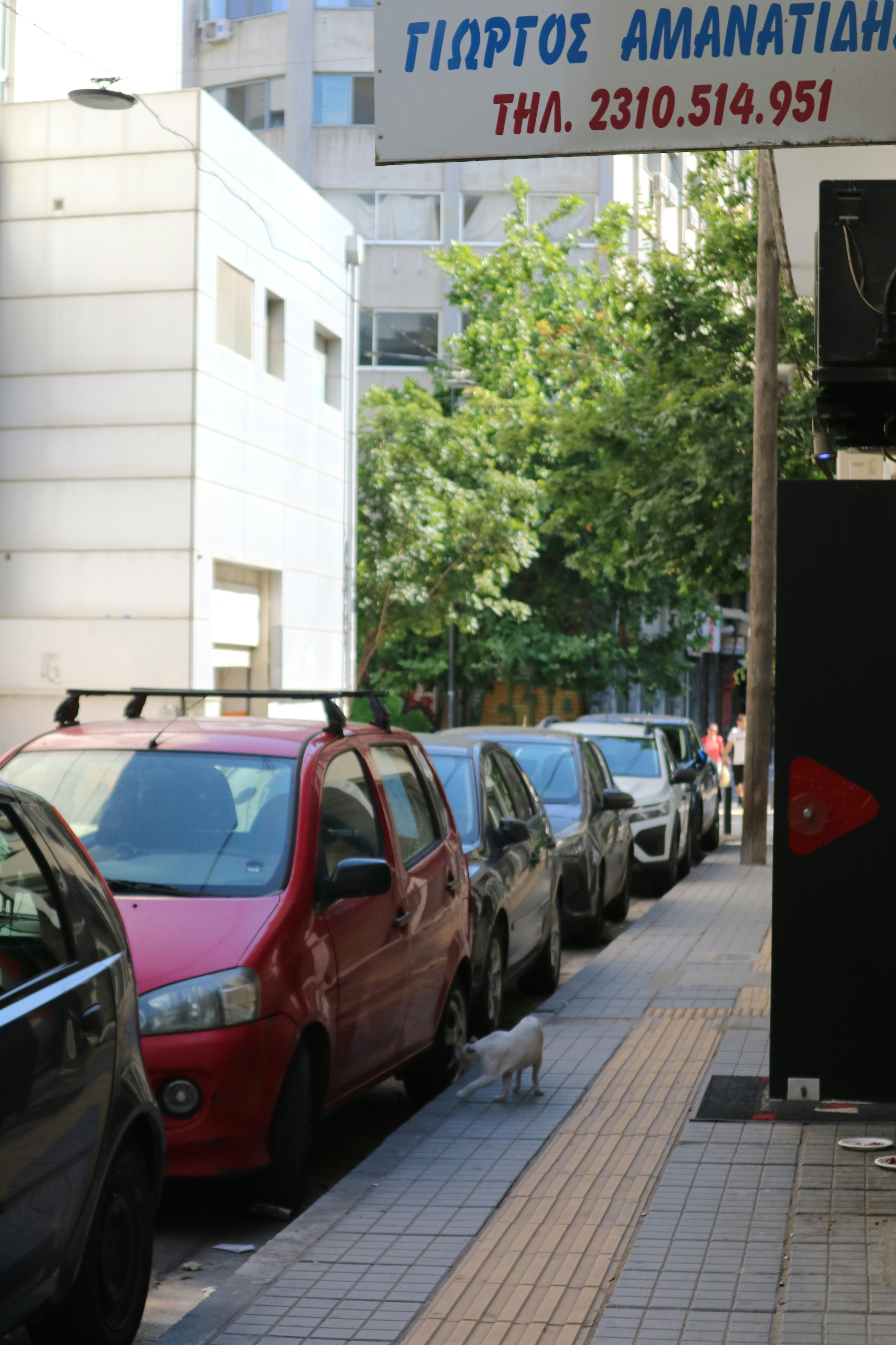 ¿Por qué son esenciales los paneles de Power BI para las empresas en España en 2024?