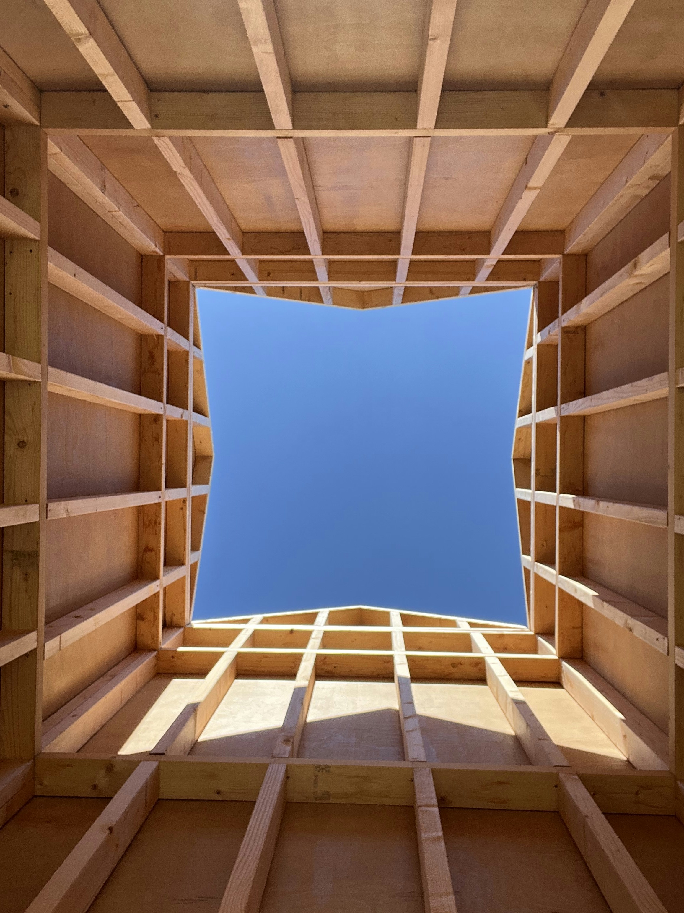 ¿Cuál es la importancia del desarrollo de programas de gestión personalizados internamente en el primer trimestre de 2025?