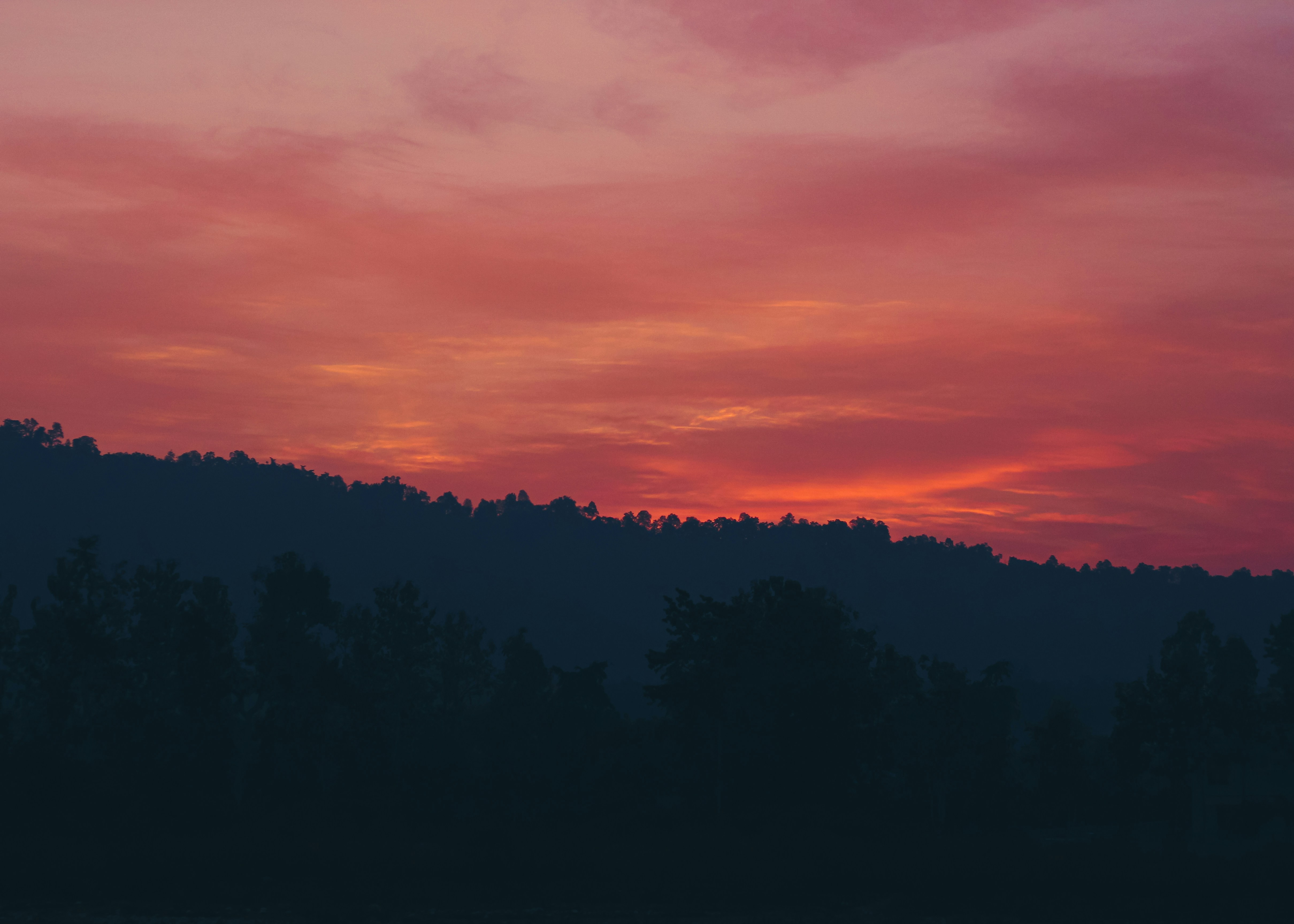 ¿Qué es el desarrollo de aplicaciones y por qué lo necesitas?