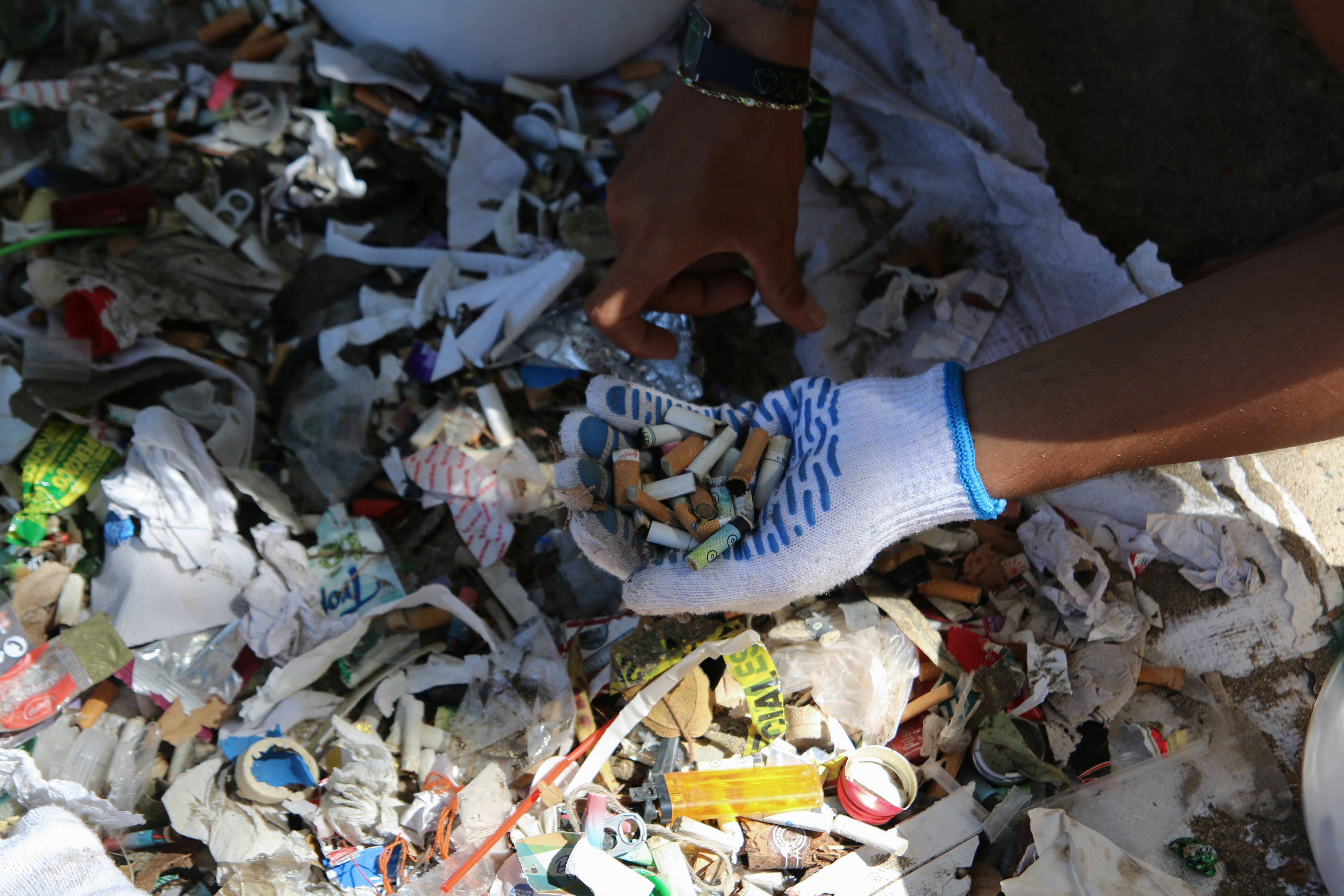 Guía completa sobre su importancia y tipos