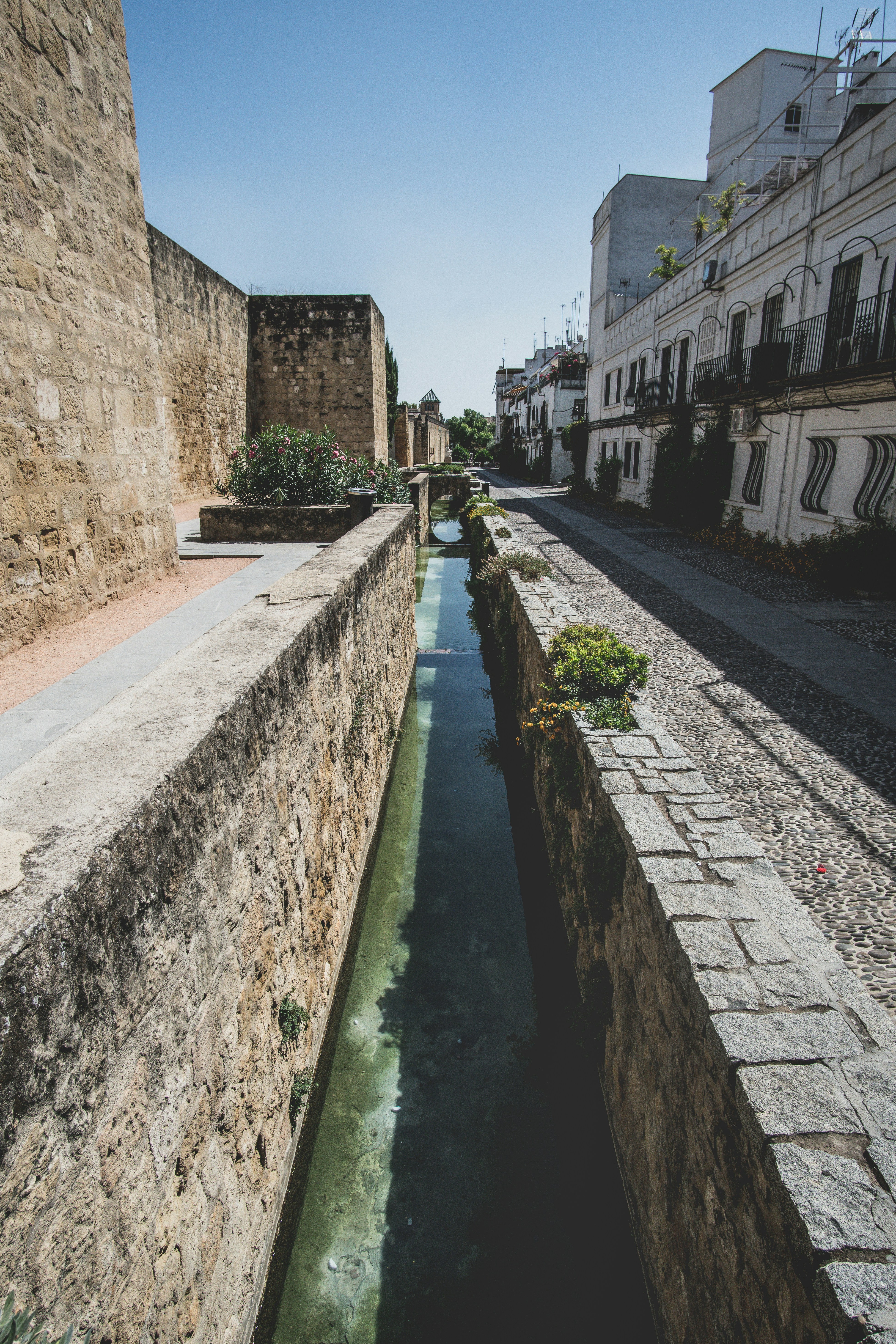 Mejor portal de proveedores con flujo de incorporación en Córdoba 2026: Tabla comparativa