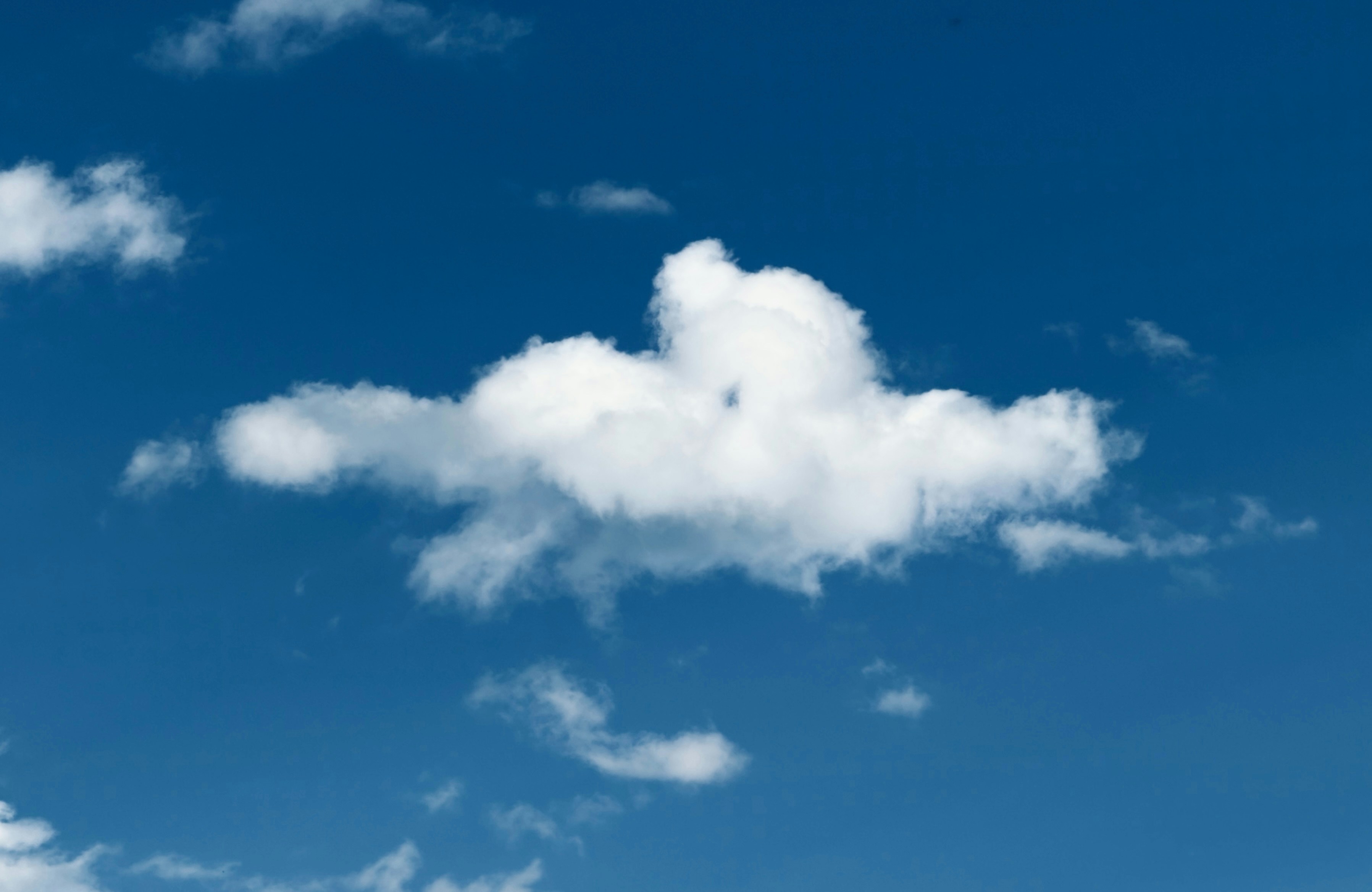 ¿Es compatible el alojamiento en la nube para aplicaciones de software personalizado con dispositivos móviles?