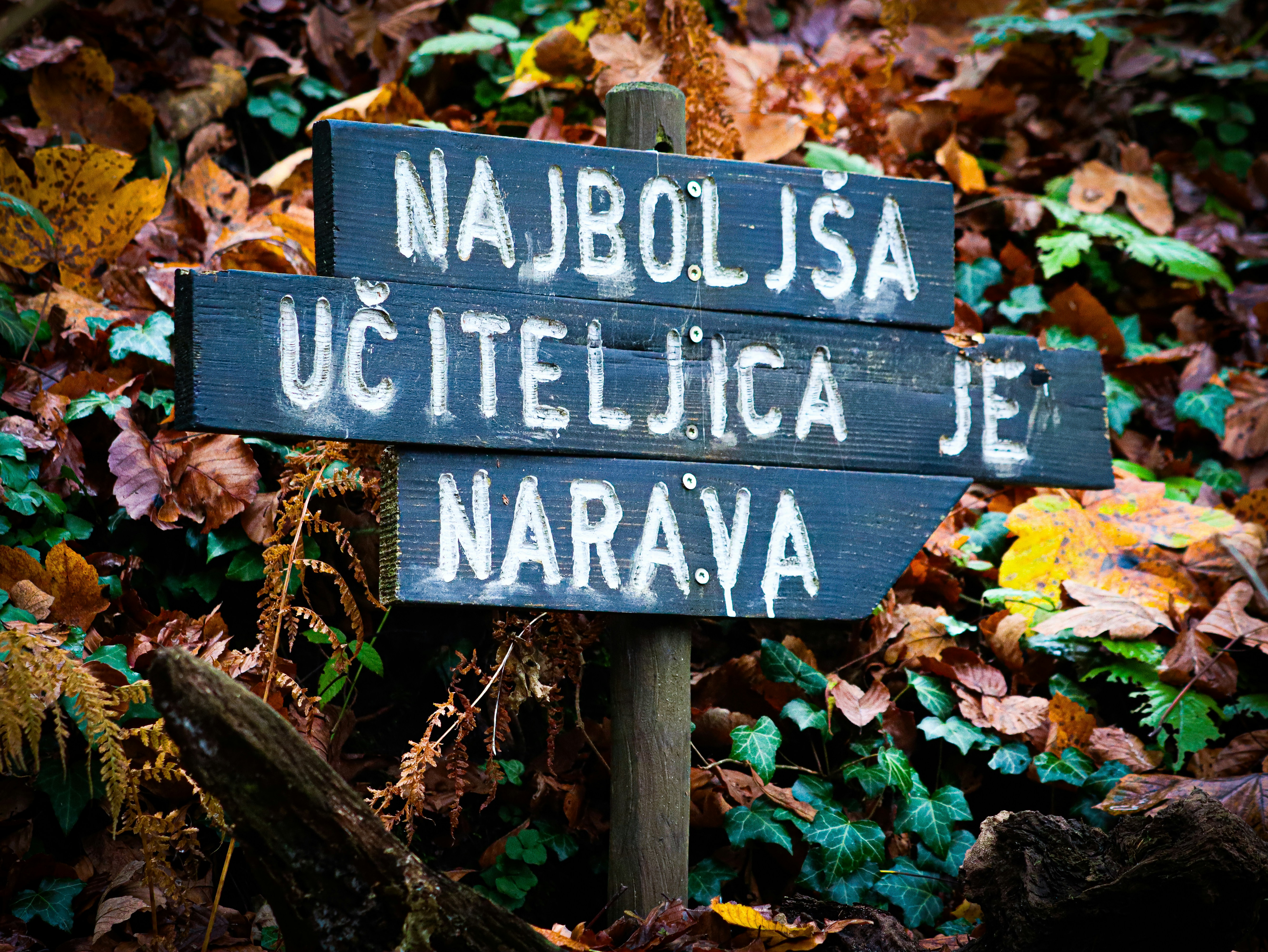 La guía definitiva para encontrar n8n en Ribeira