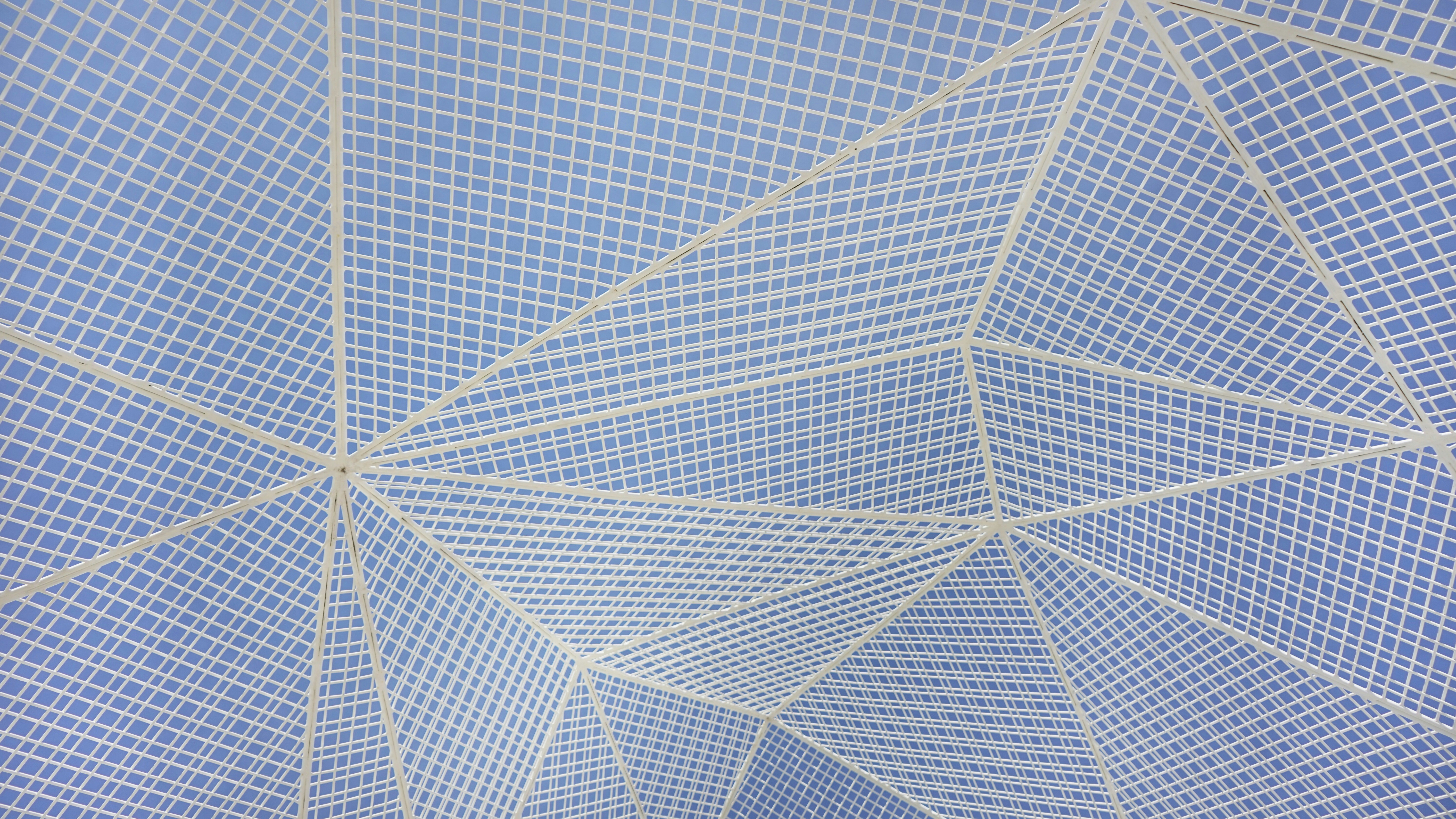 Redes Geométricas: Liberando el Poder de la Forma en la IA por Arvind Sundararajan