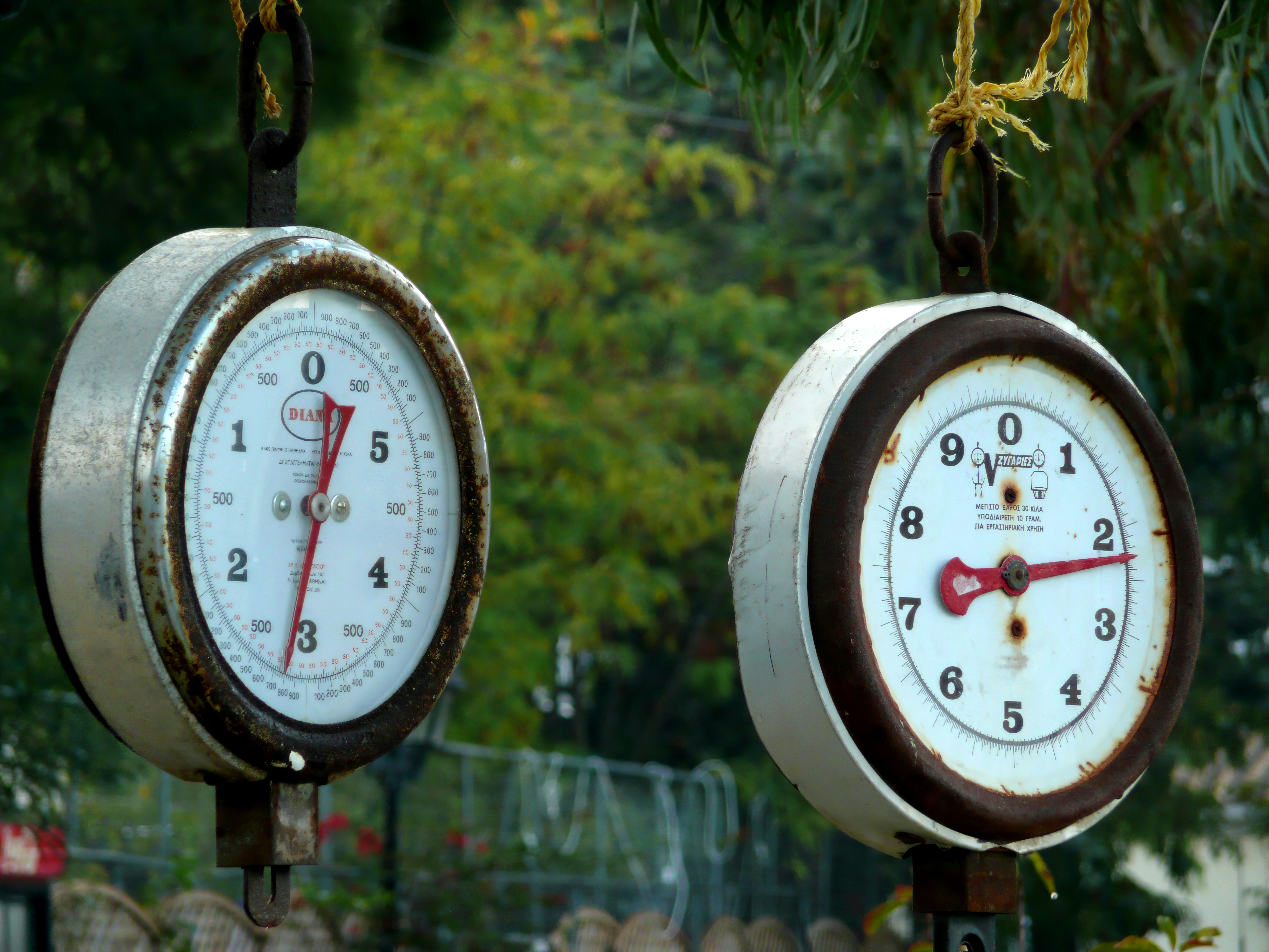 Los dos relojes y la ventana de innovación: Cuándo y cómo los modelos generativos aprenden reglas