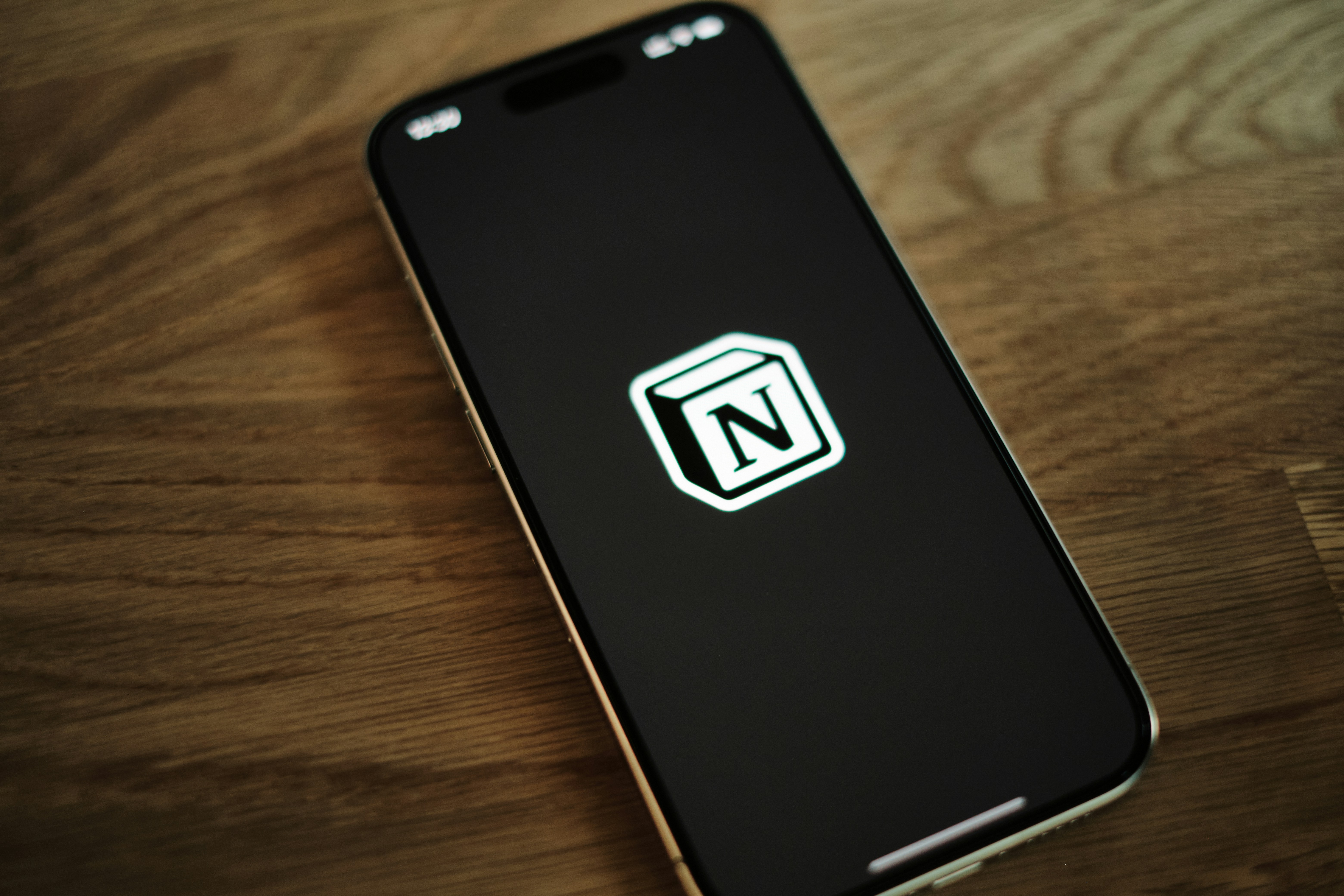 ¿Cuál es la visión a largo plazo detrás de los servicios de desarrollo de n8n?