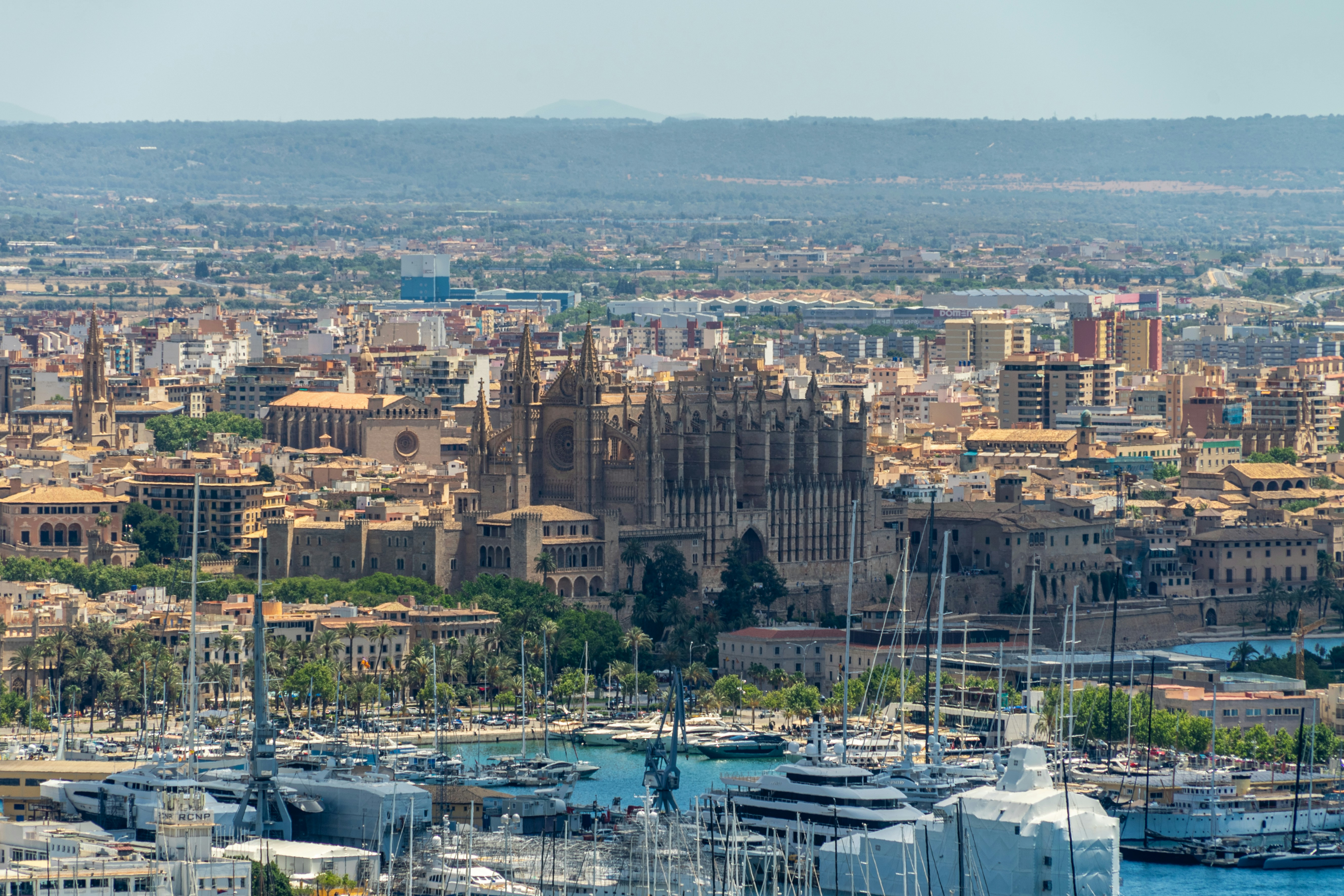 Las 10 mejores empresas para el desarrollo de especificaciones ligeras en Palma