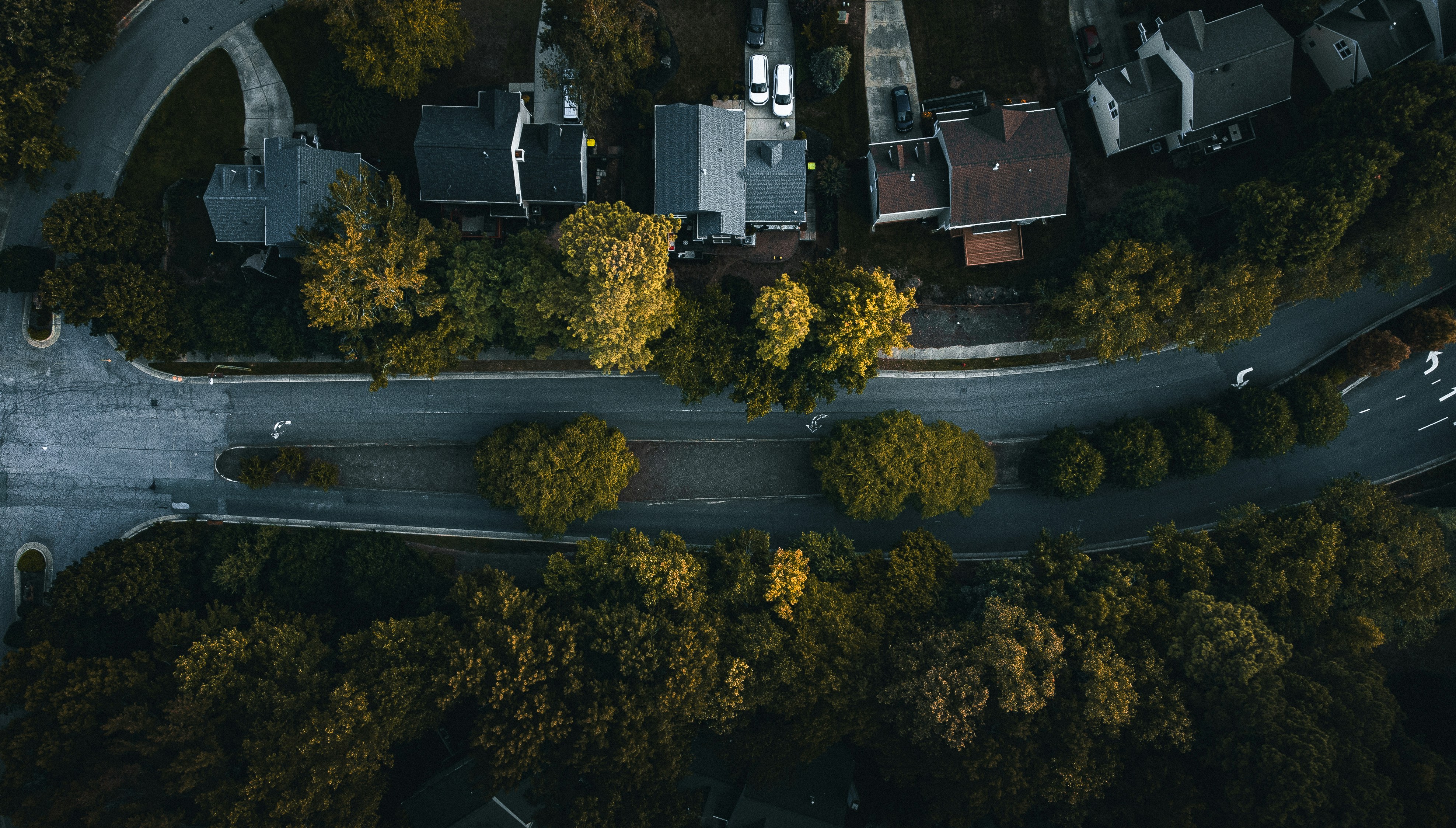 10 Mejores Clips Gratis para Ediciones