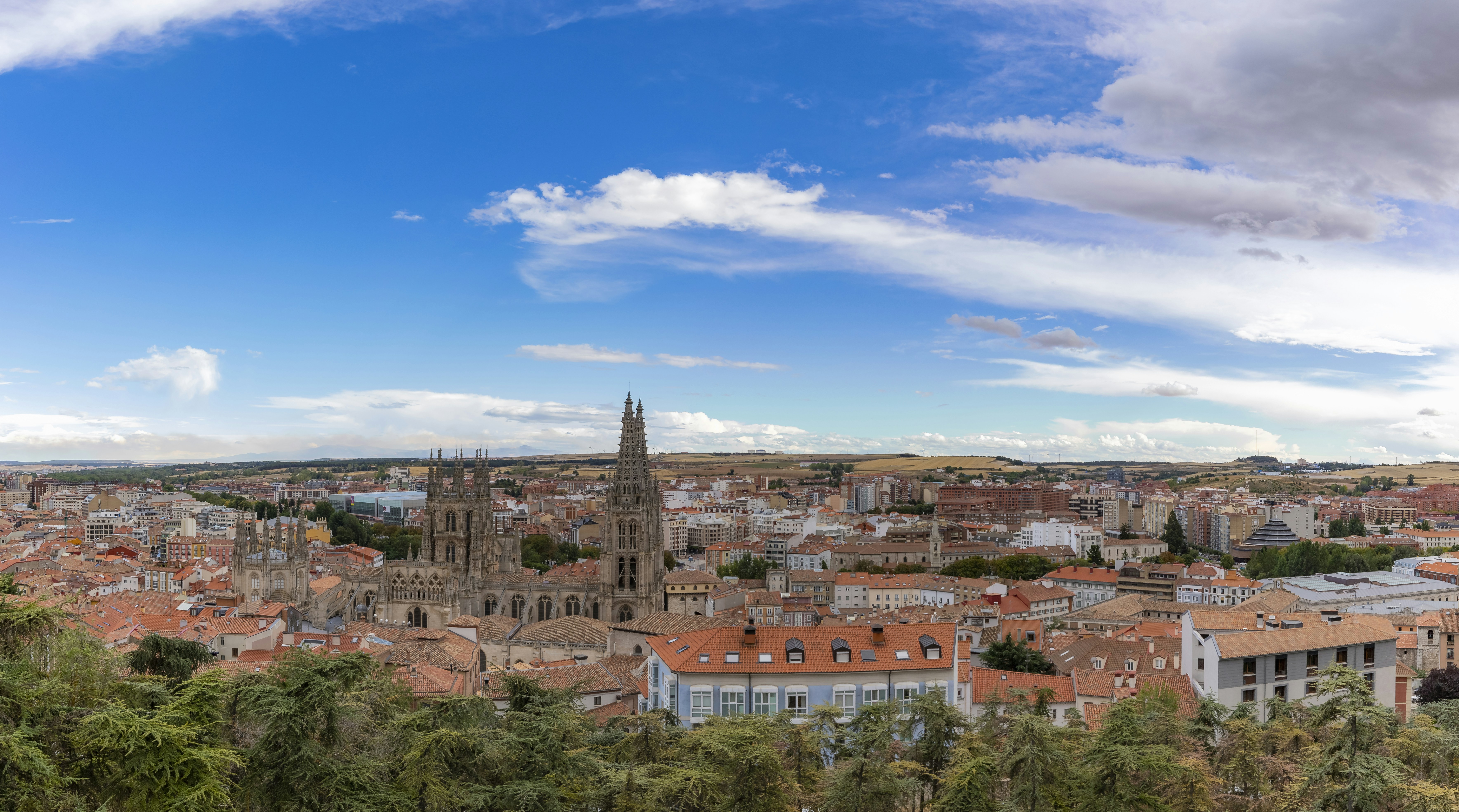 Las mejores 100 empresas para desarrollo de software saas en Burgos