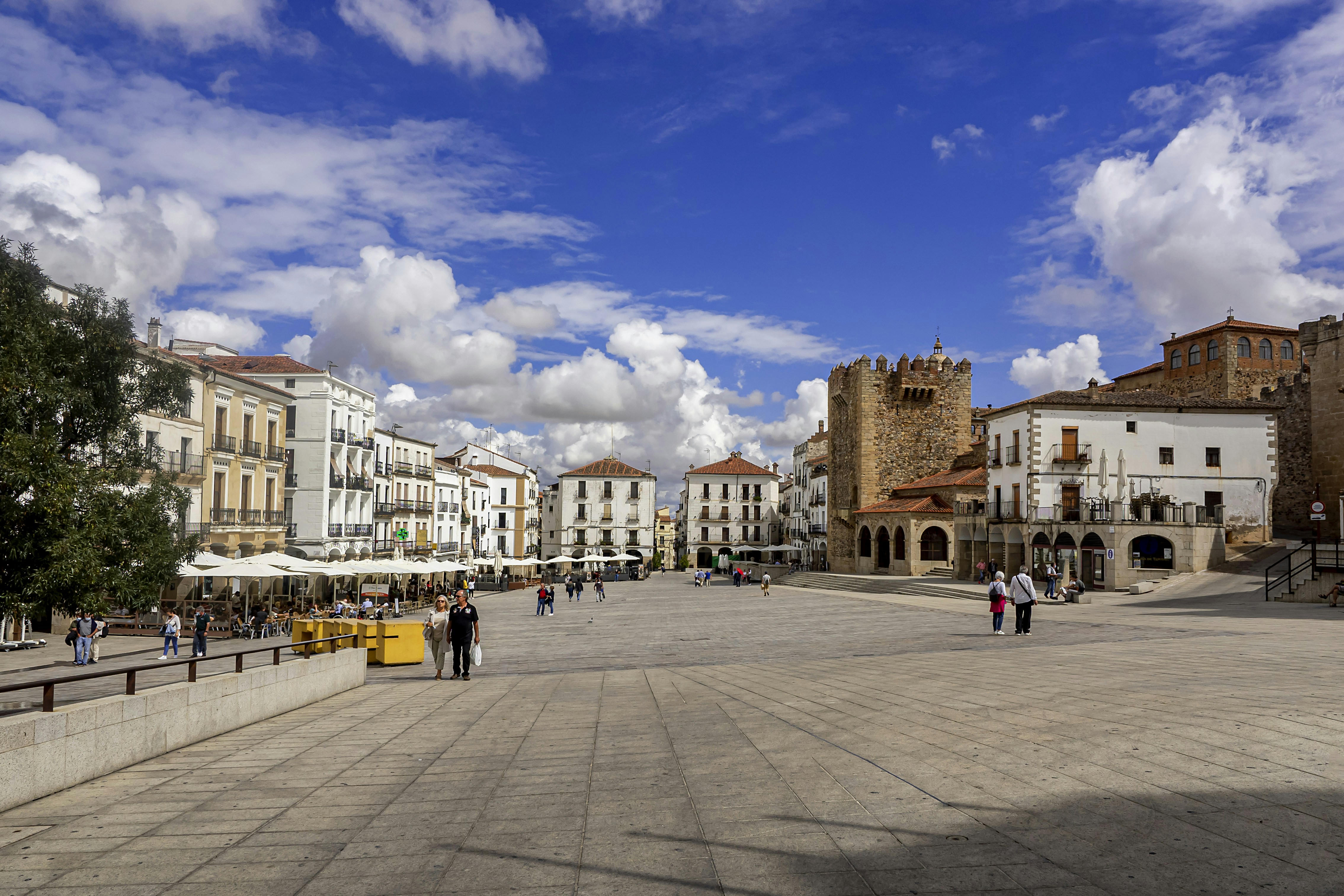 Mejores 100 empresas de servicios de aplicación en Cáceres