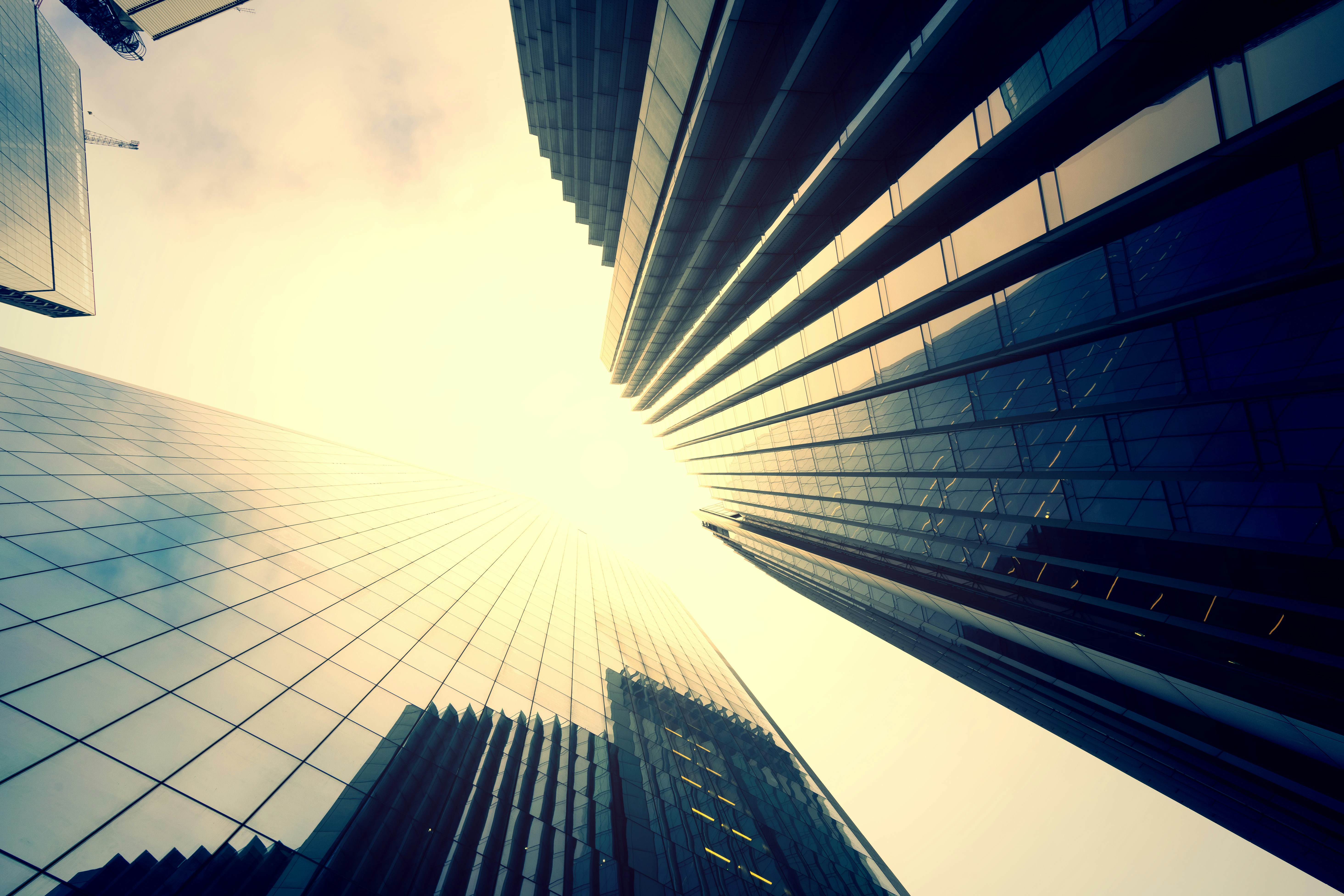 Top 20 Empresas con mayor impacto empresarial en la adopción de IA en Málaga