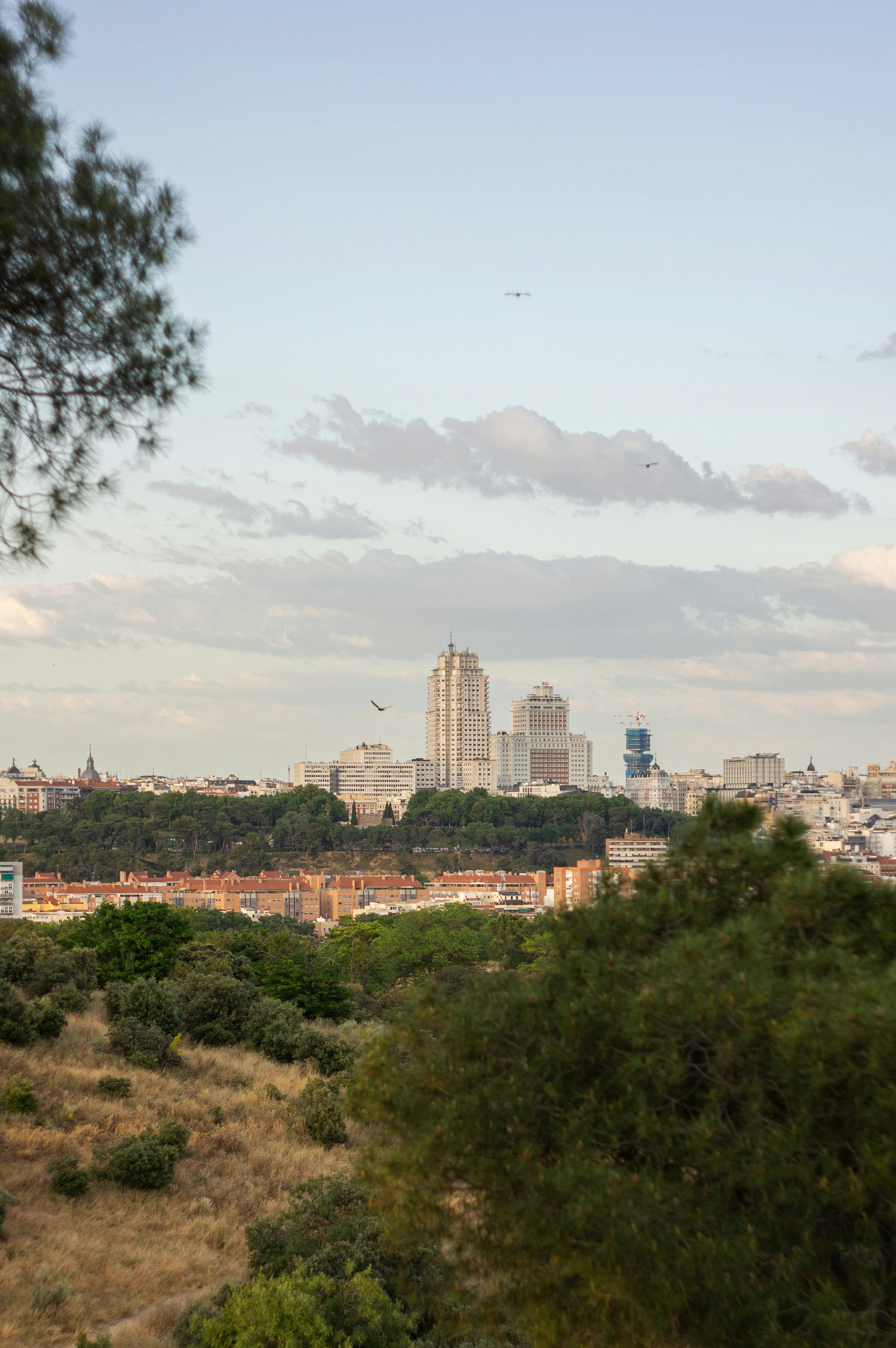 Las 20 mejores empresas de vibe coding para negocios en Madrid