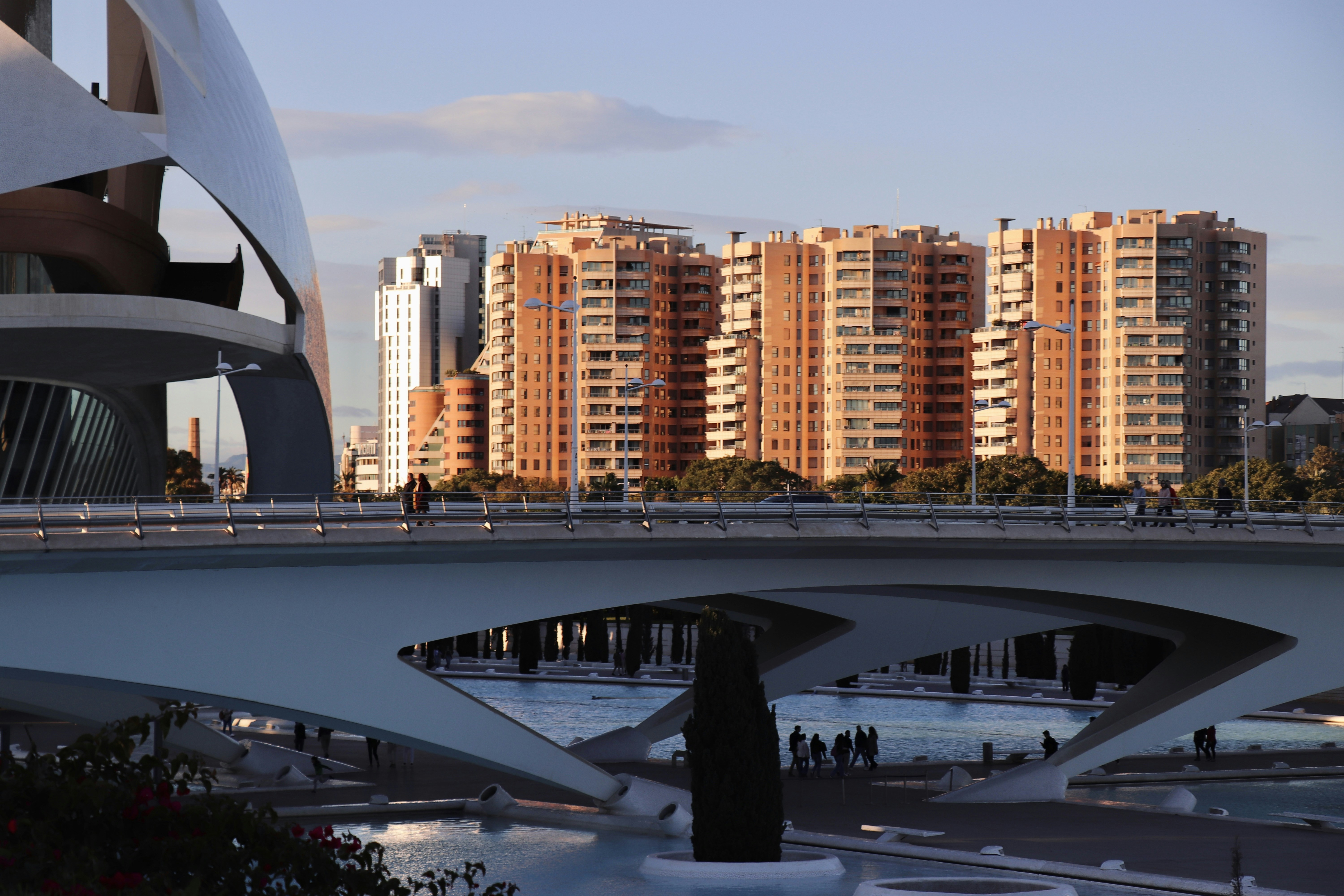 Las 3 mejores empresas para desarrollo sin especificaciones detalladas en Valencia