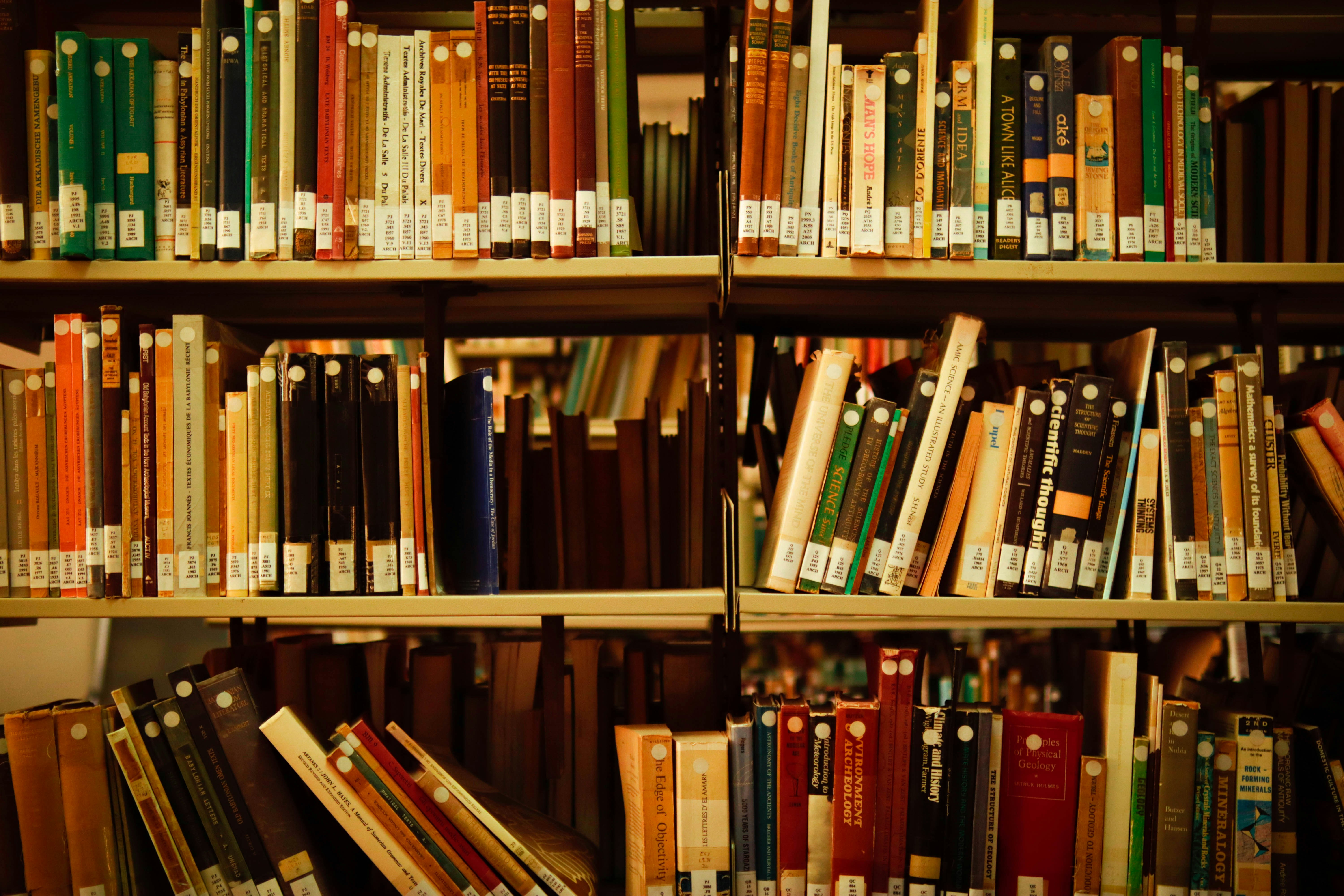 Las 30 mejores empresas para portal de miembros con biblioteca de contenido en Bilbao 2026