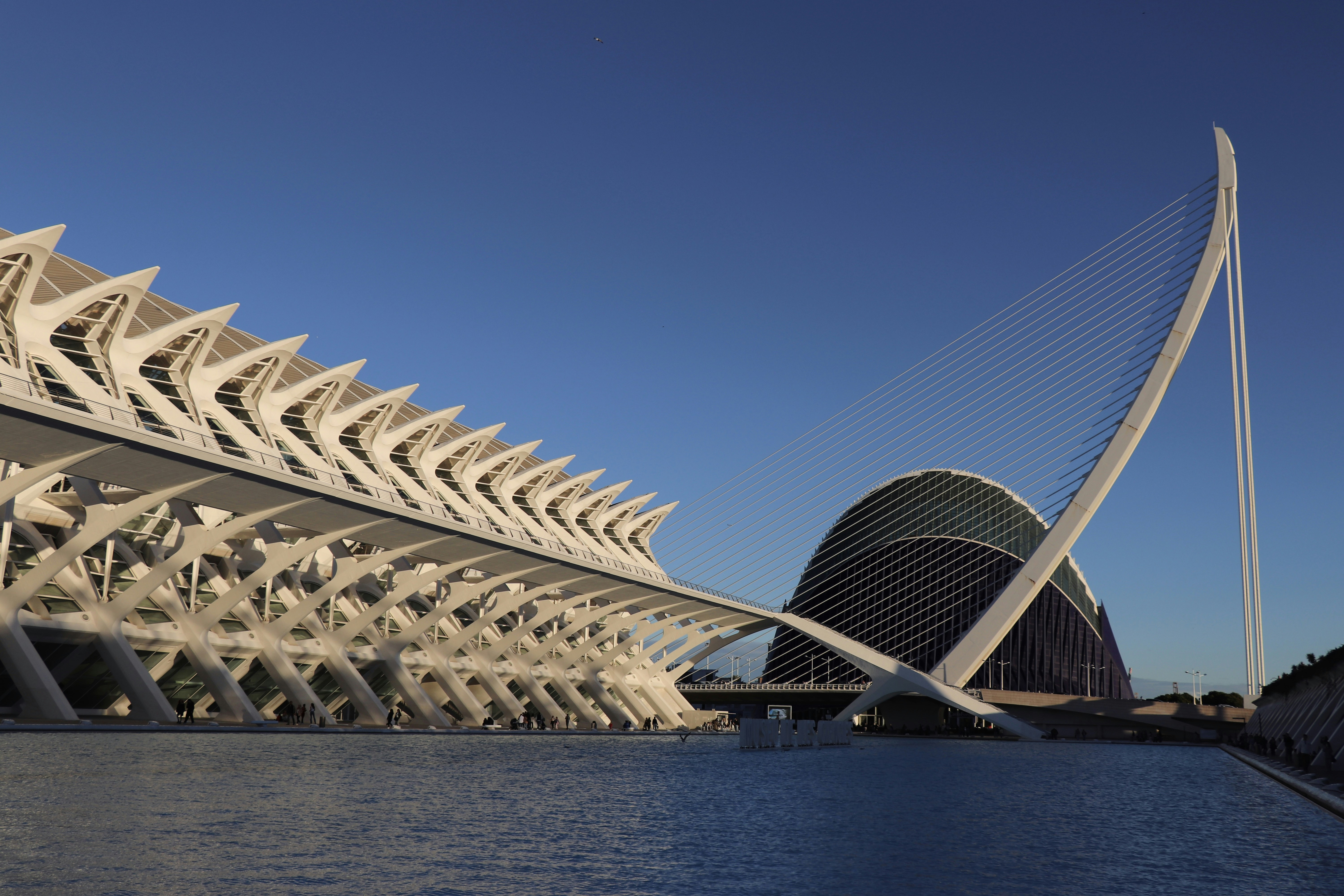 Las 5 mejores empresas de IA para la gestión de tickets en Valencia