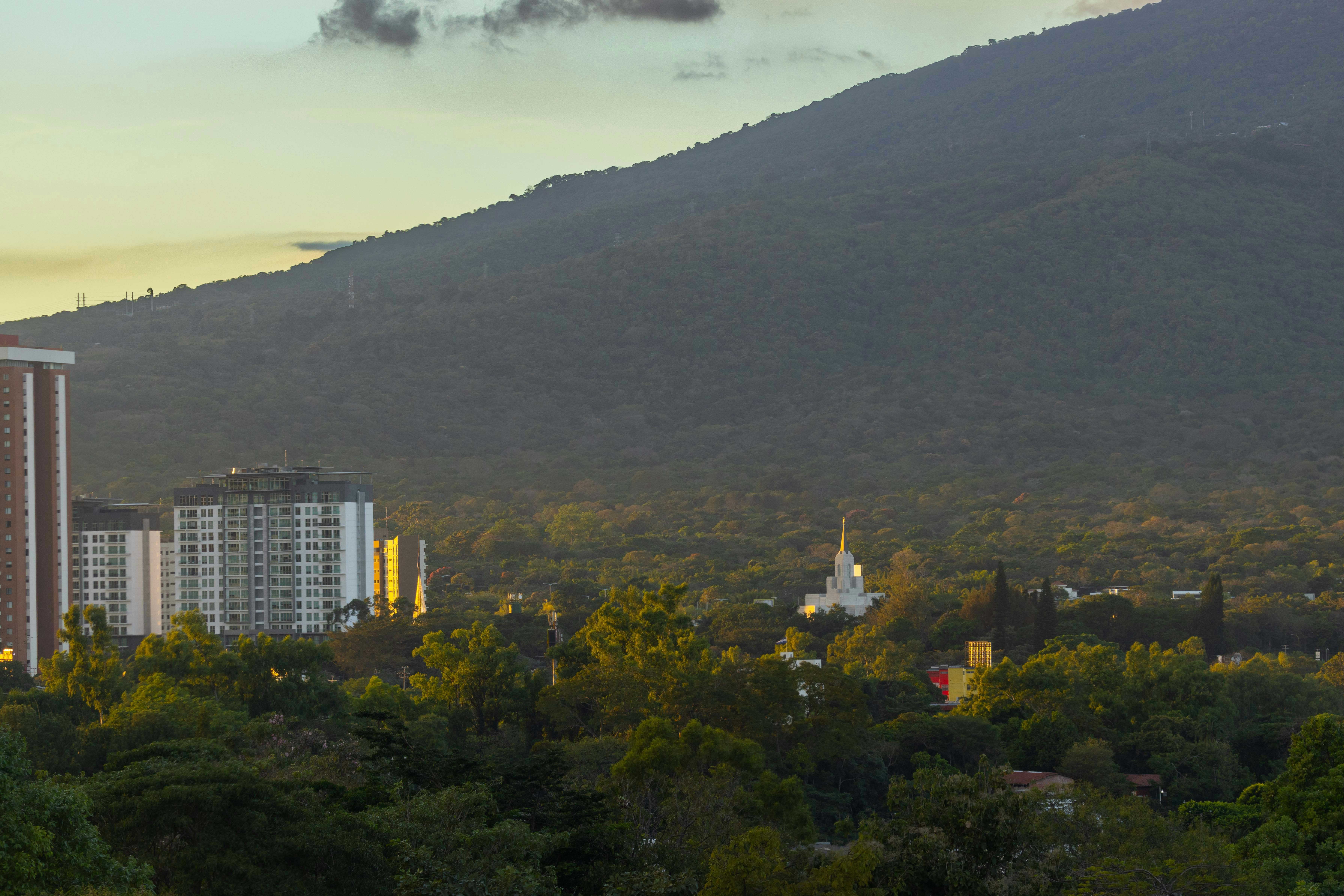 5 mejores empresas para n8n en San Cristóbal de La Laguna