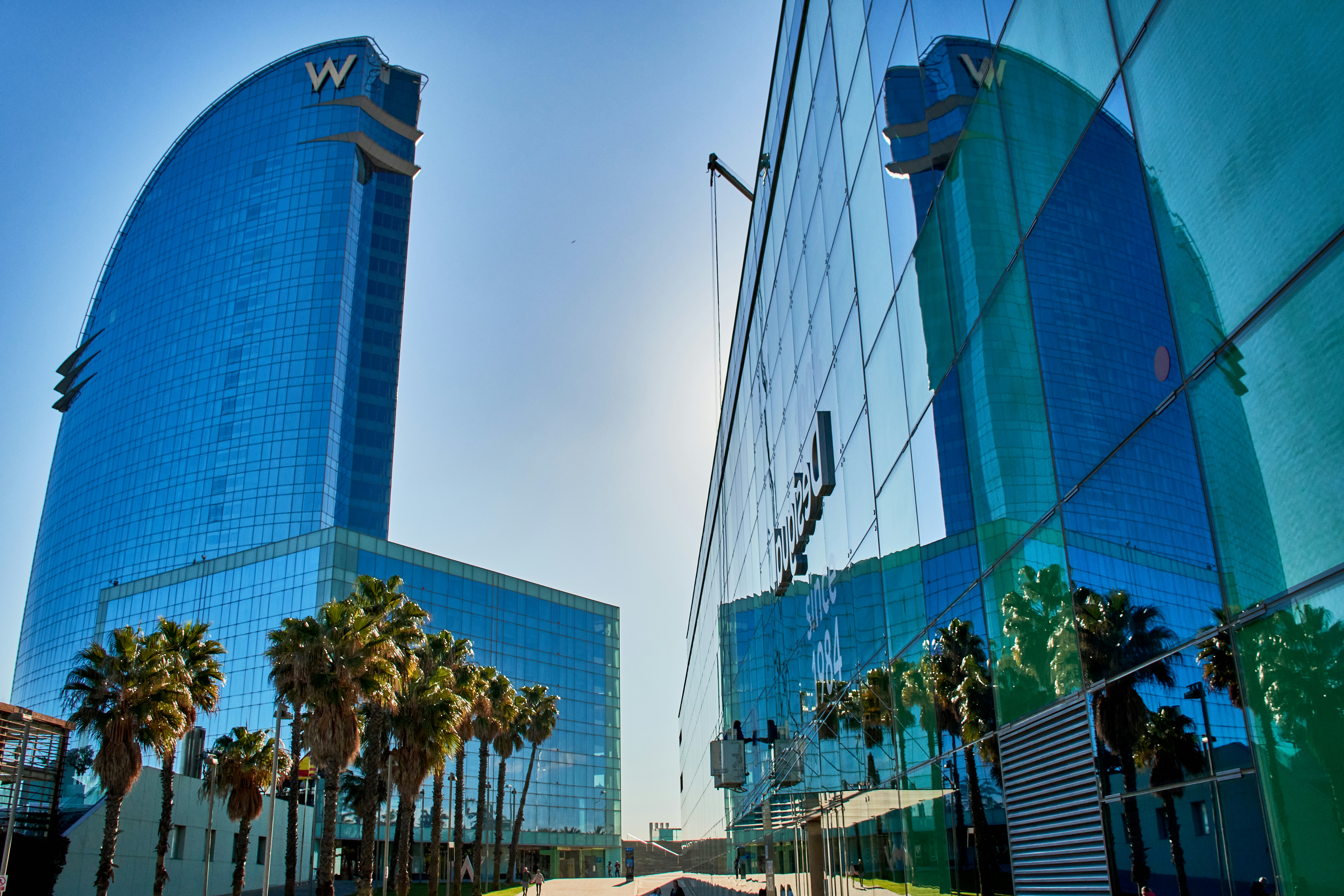 Top 5 empresas para n8n en Alzira