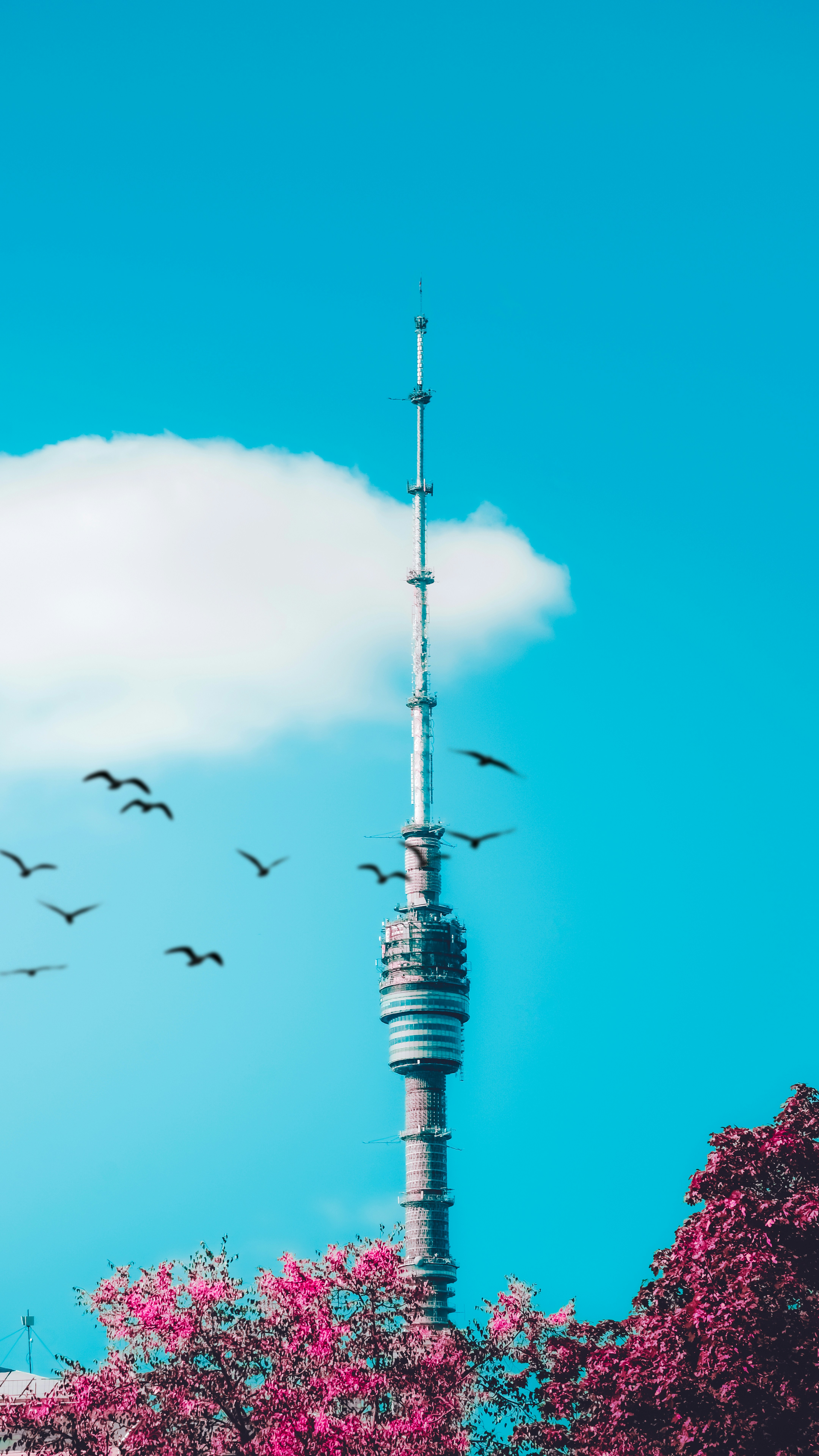 Comparación de las 7 mejores soluciones de gestión automática de llamadas entrantes basadas en la nube